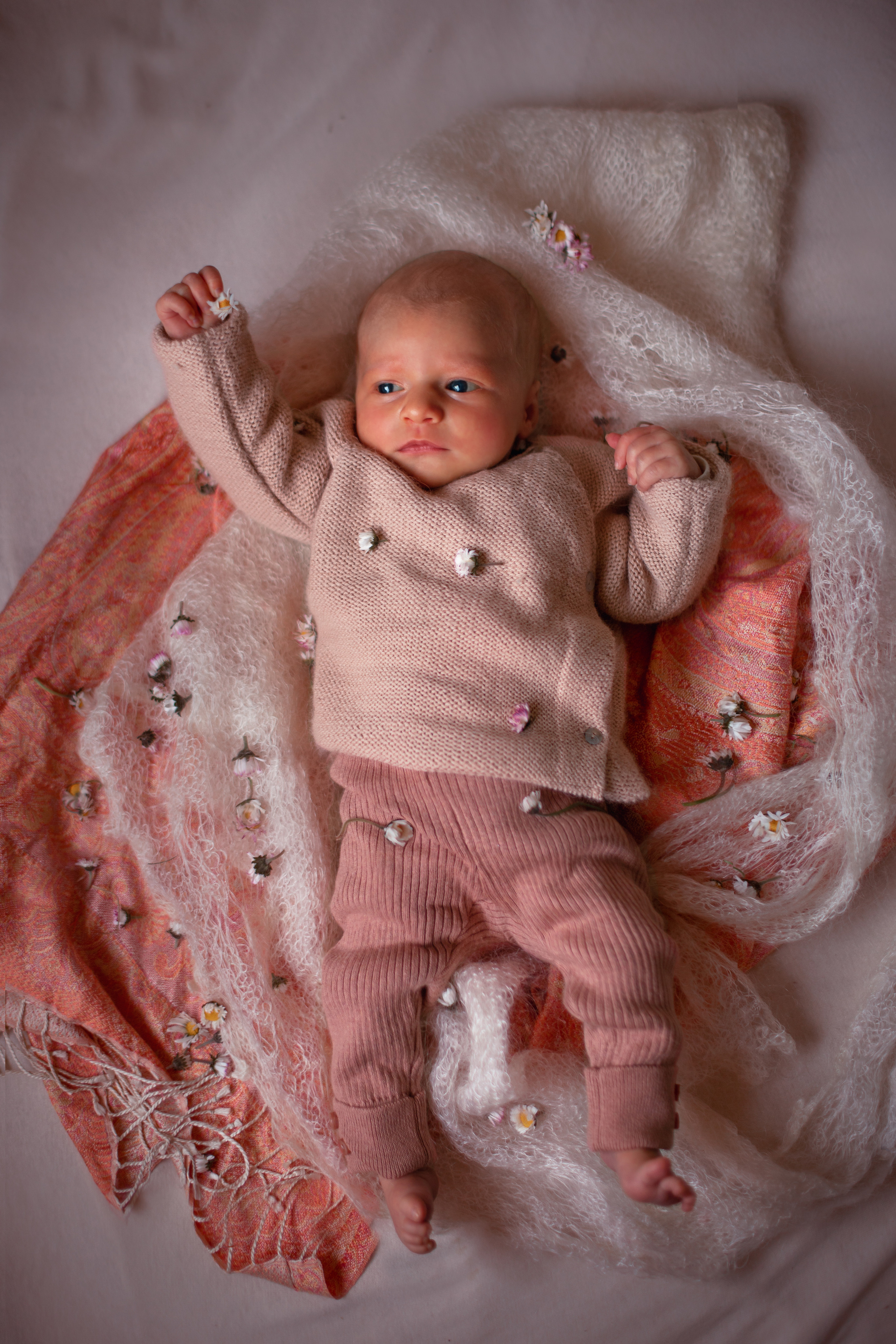 Les plus petits. Fine Art photographer in Luxembourg Anastasia Arend