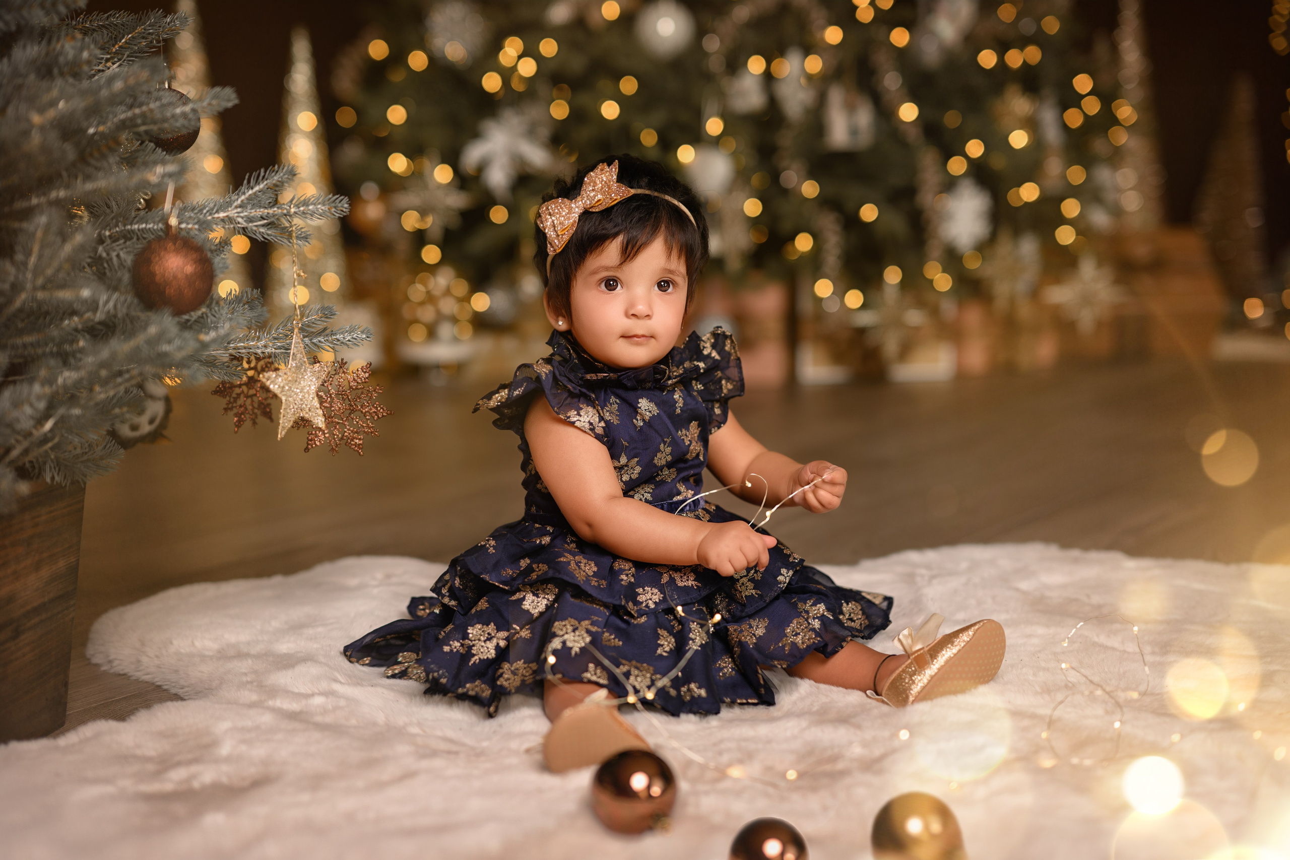 Priyanka and her family. Wedding & family photography in Seattle area. Helen Michelle photographer