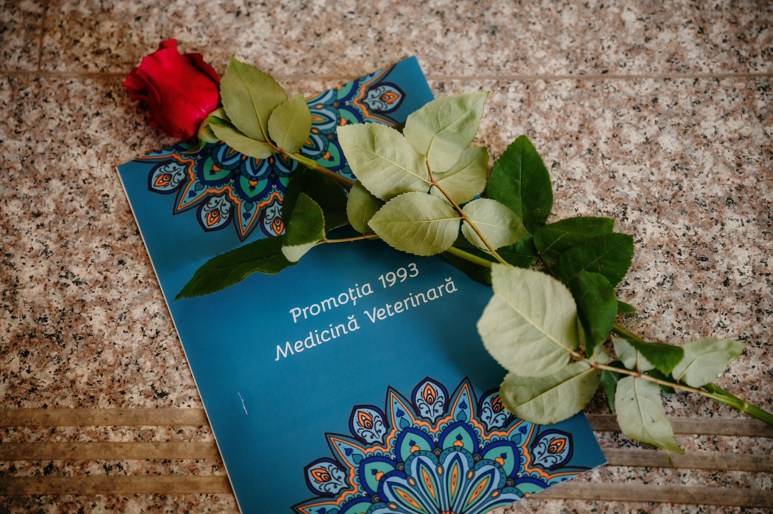 Medicina Veterinara — dupa 30 de ani…. Laurentiu Stefan StoryTeller