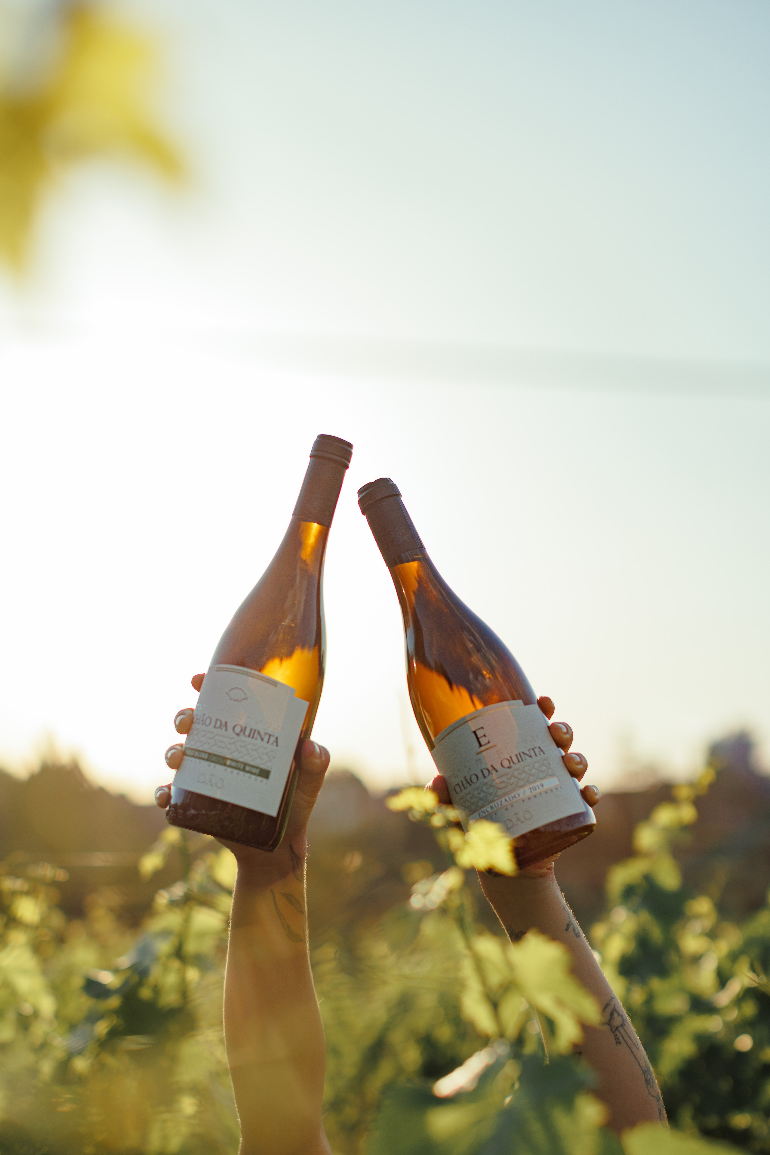 QUINTA CHÃO DE SÃO FRANCISCO. ESTUDIO DOZE