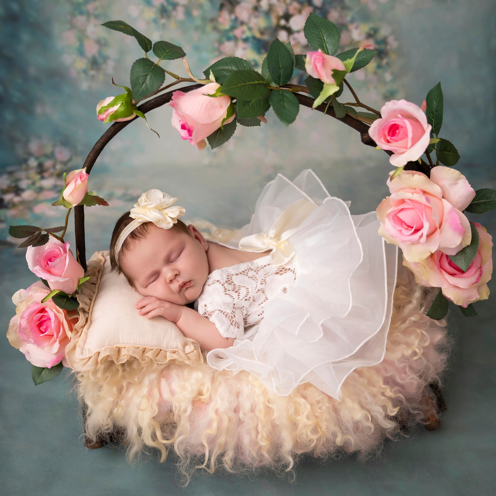 Newborn photos. Newborn photographer in Tampa Bay Area, FL