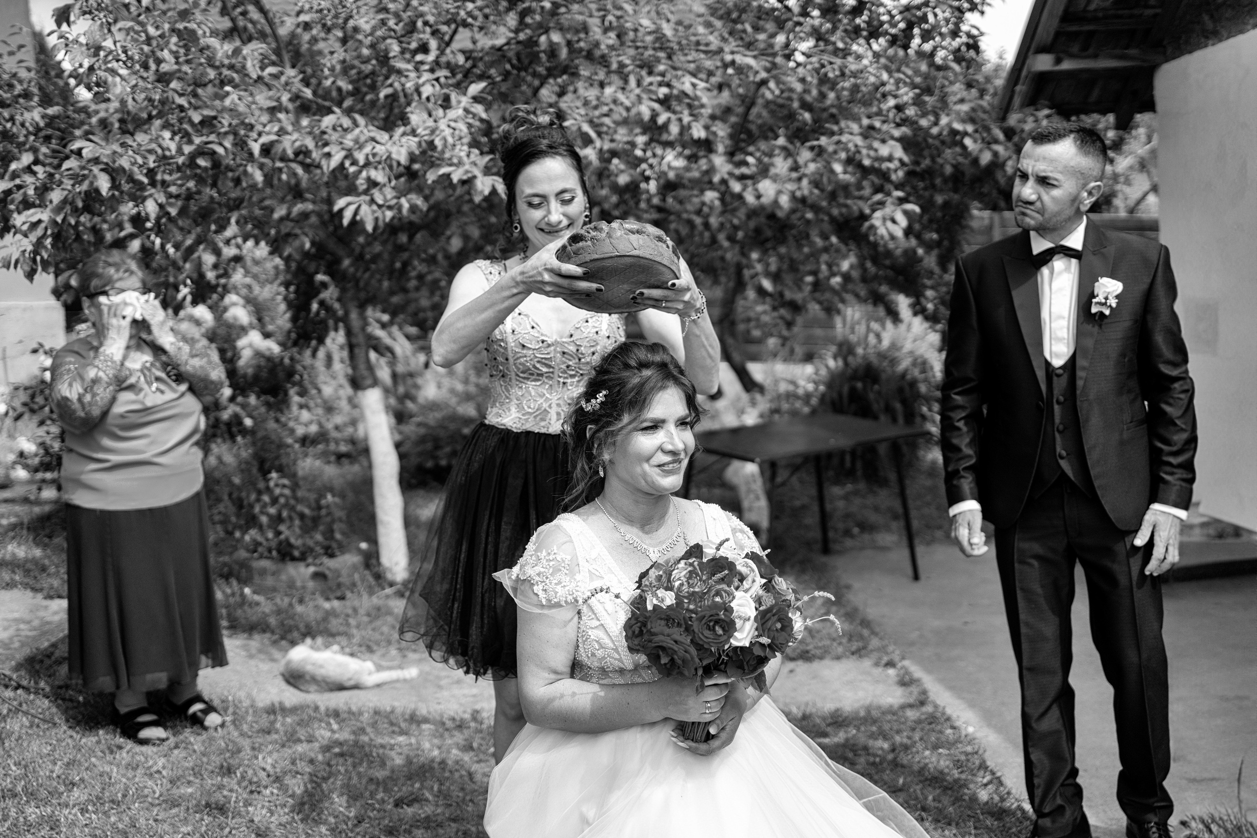 Dana & Ionut. Fotograf evenimente, fotograf nunta, fotograf botez