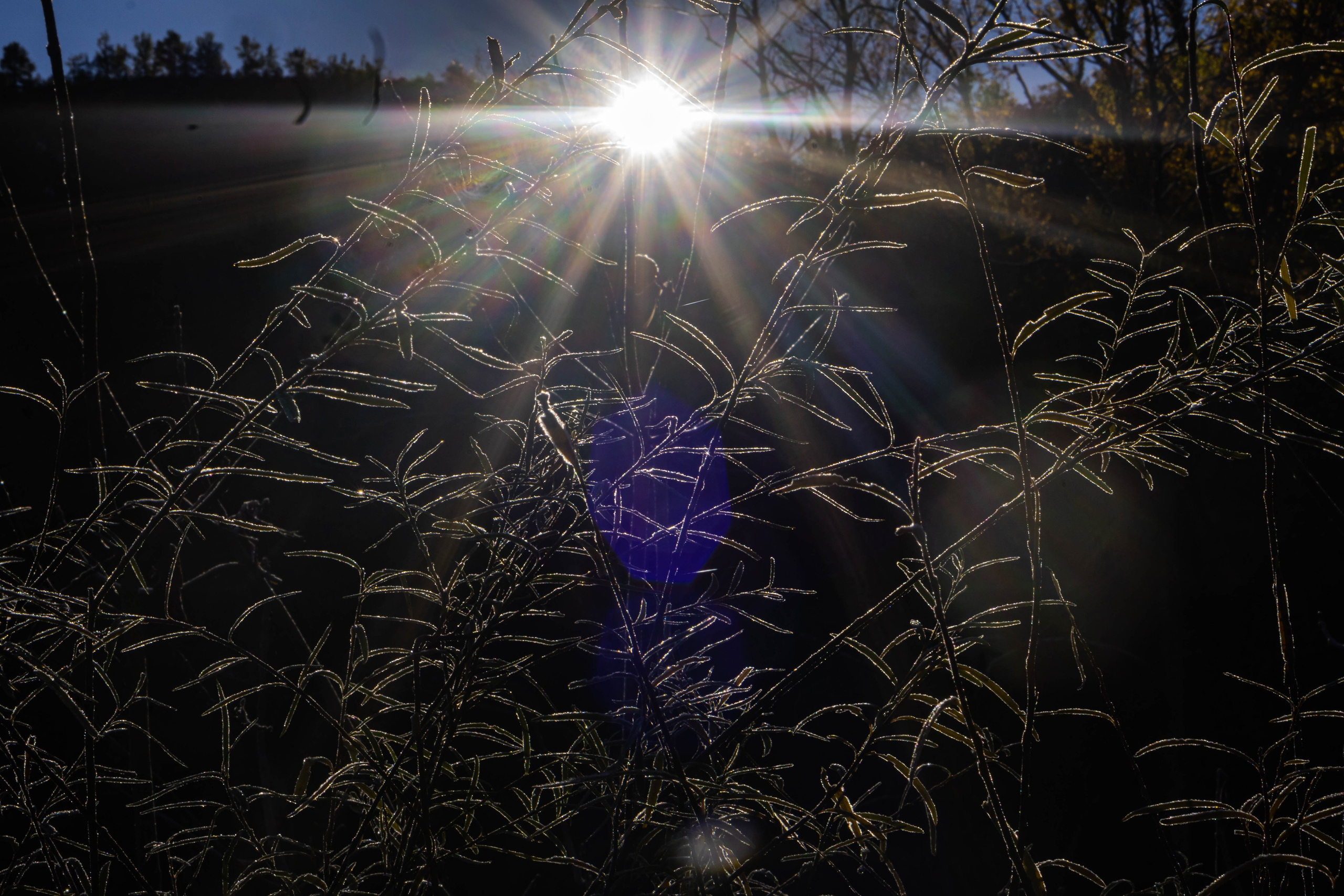 Bocetos. Alba del Norte Studio