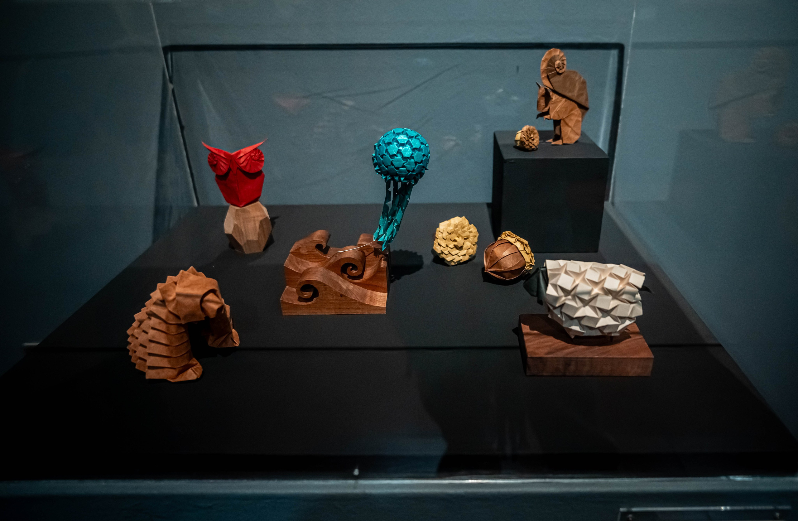 Museo de origami, Zaragoza. Alba del Norte Studio