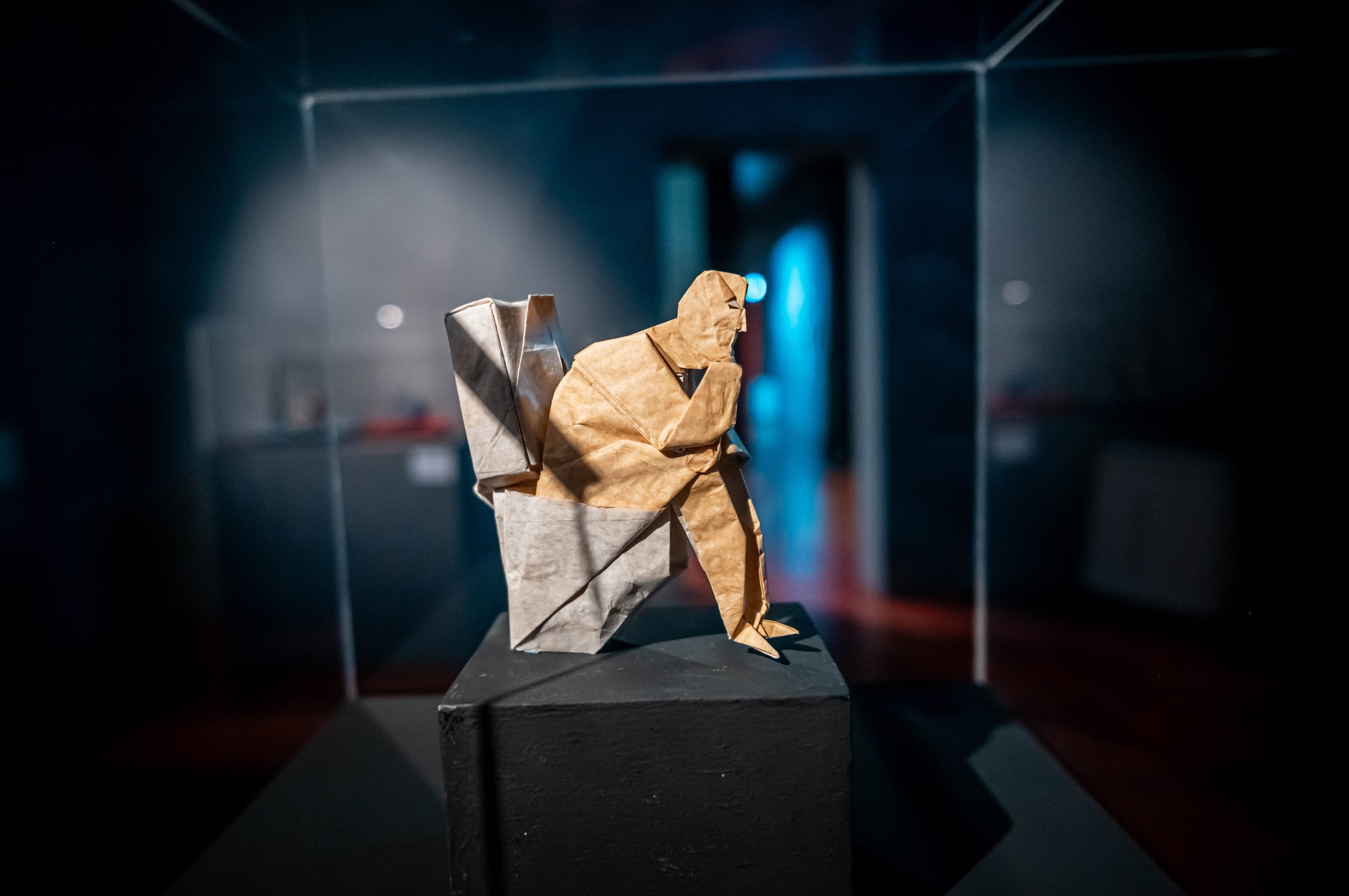 Museo de origami, Zaragoza. Alba del Norte Studio