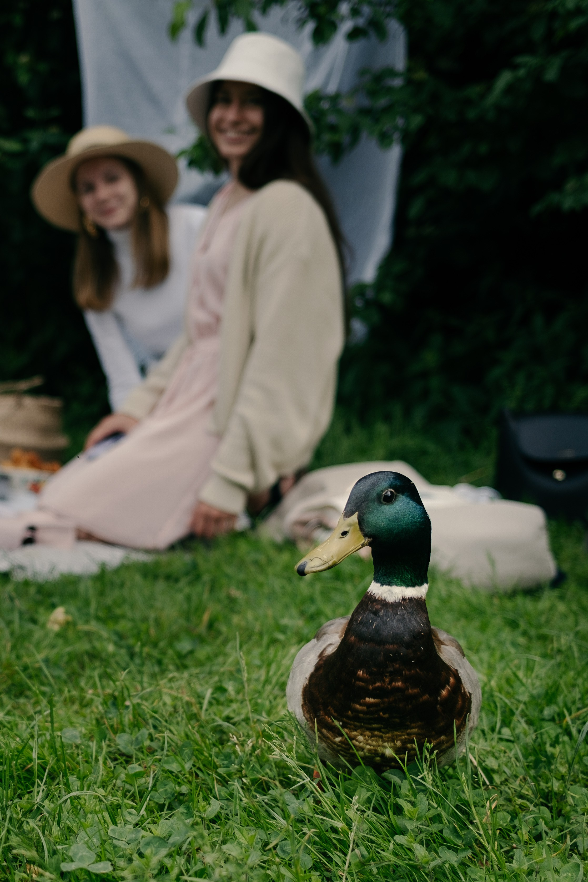 Girls Picnic photoshoot. Professional Photographer in Berlin — Portraits, Love Story, Events, F