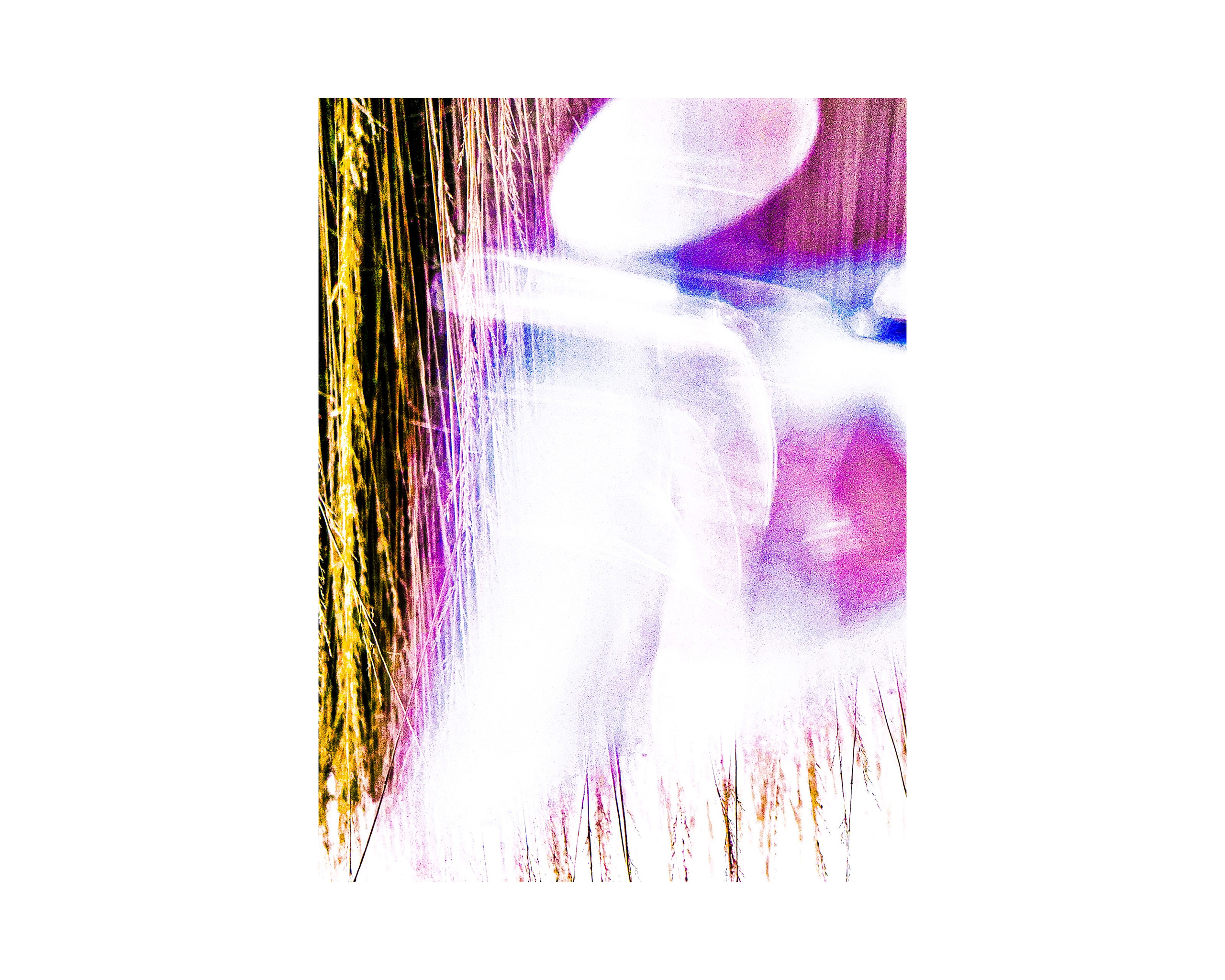 Nature from Exaggerated Worlds. Ekaterina Tsurkina-Appina Photography Canada