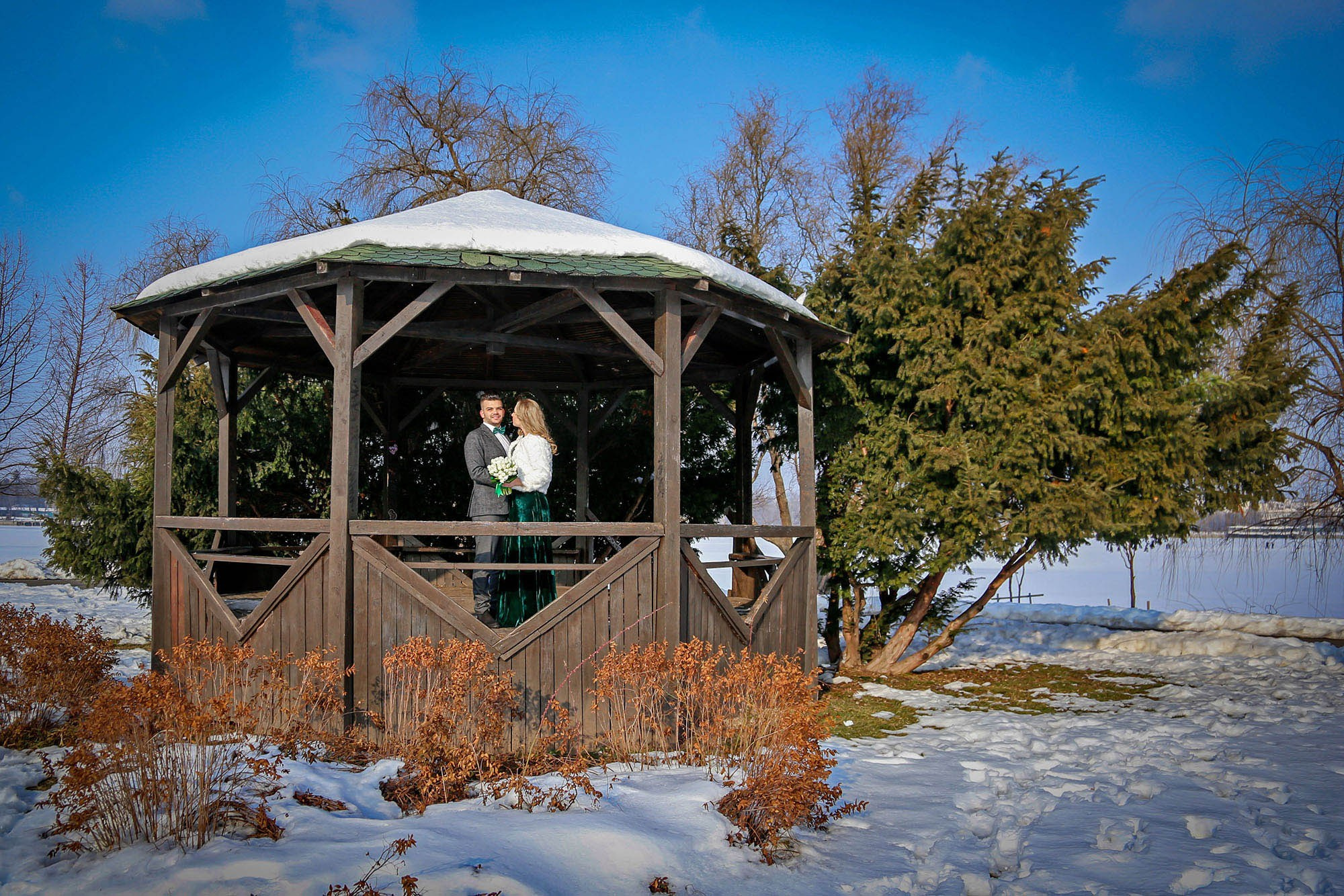 Wide landscape shot featuring the wooden gazebo surrounded by snowy trees in the park, with the couple beautifully integrated into the scenery.
