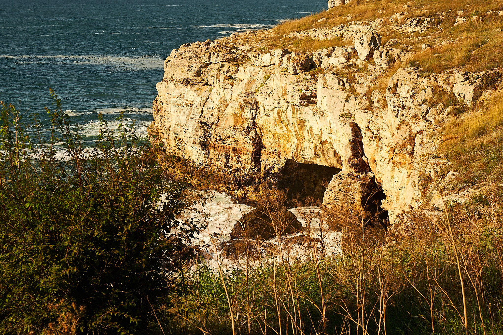 Tyulenovo, Bulgaria. Pagina principală