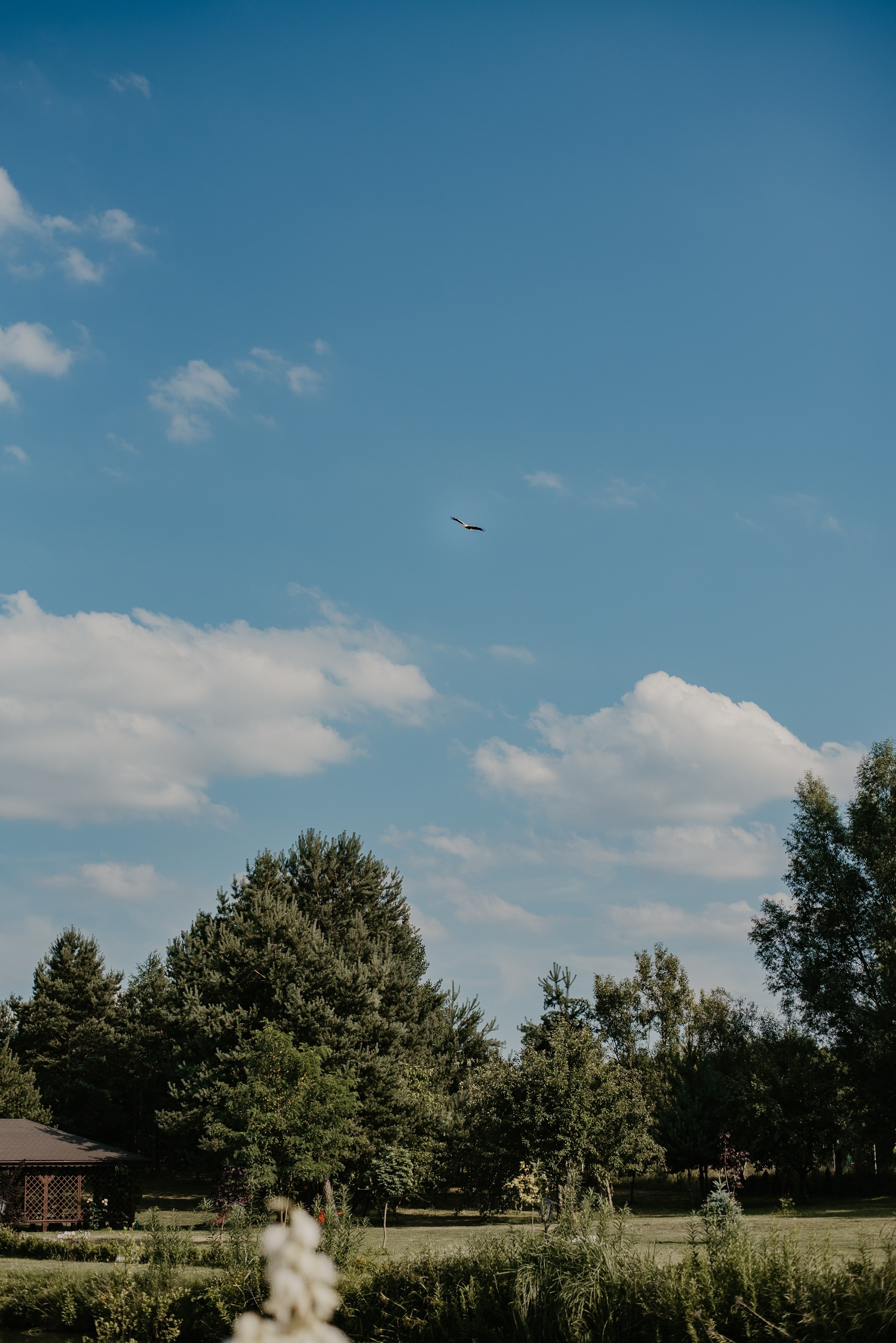 Kaja & Wiktor. Dominika Strachacka Fotografia | Fotograf ślubny i rodzinny Opole Lubelskie Lublin