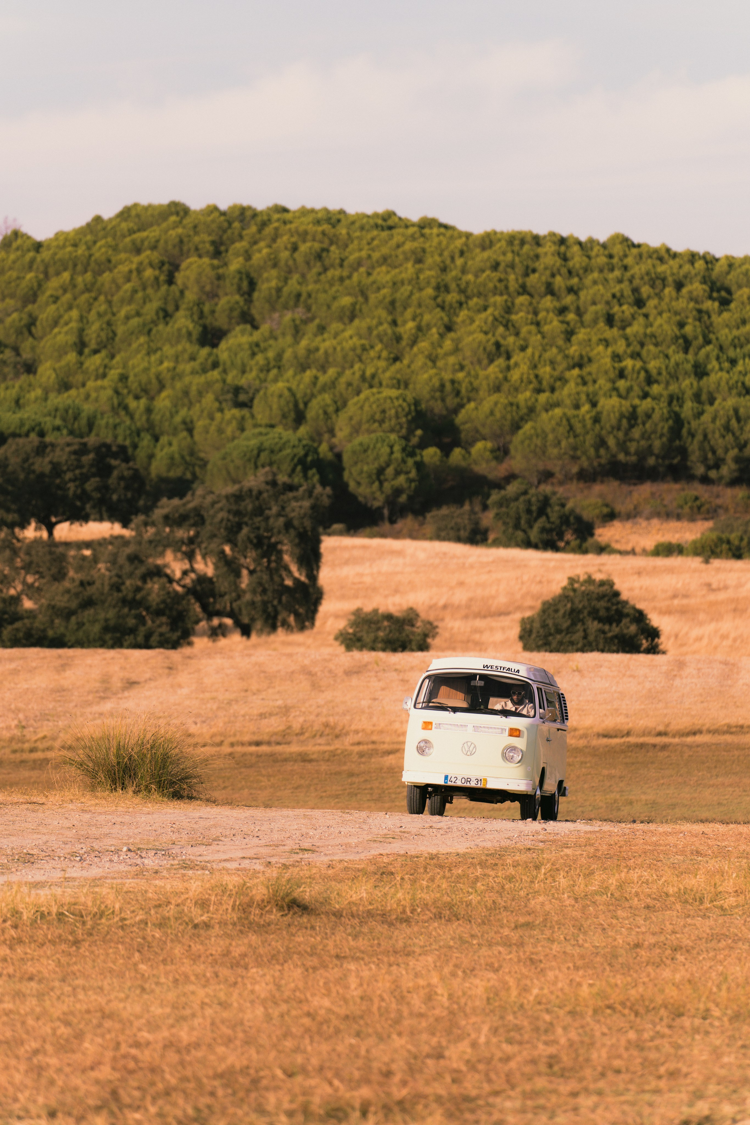 DYNAMO — Borboleta — Photo. Photography and Videography in Lisbon — Júlio da Silva