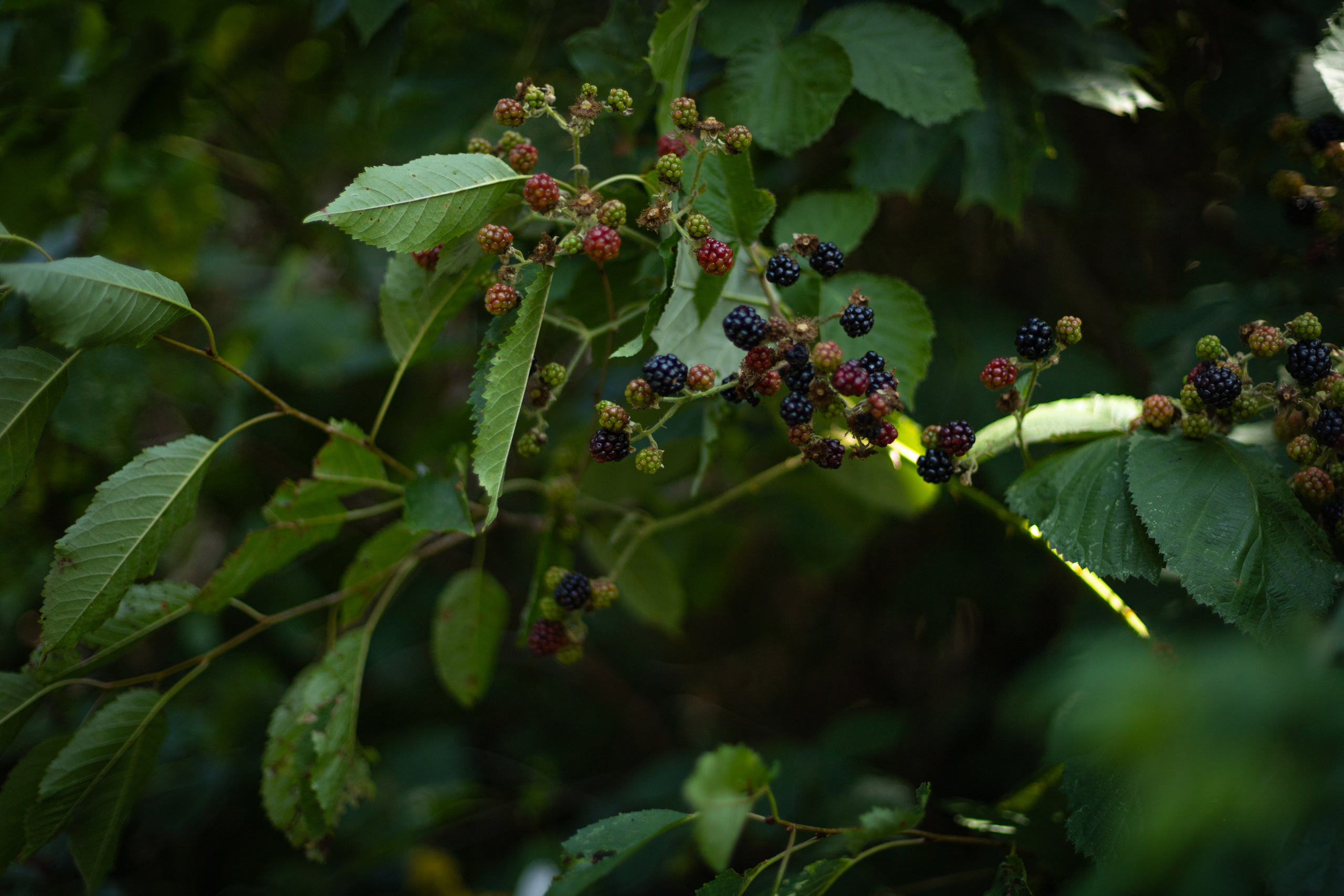 Mit Oma. PHOTOgrapher Germany MARBURG
