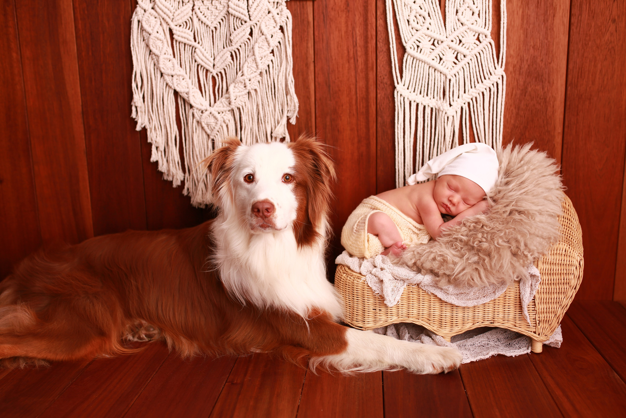 Neugeborene. Neugeborenen, Familien, Geschwister Fotografin aus Delmenhorst