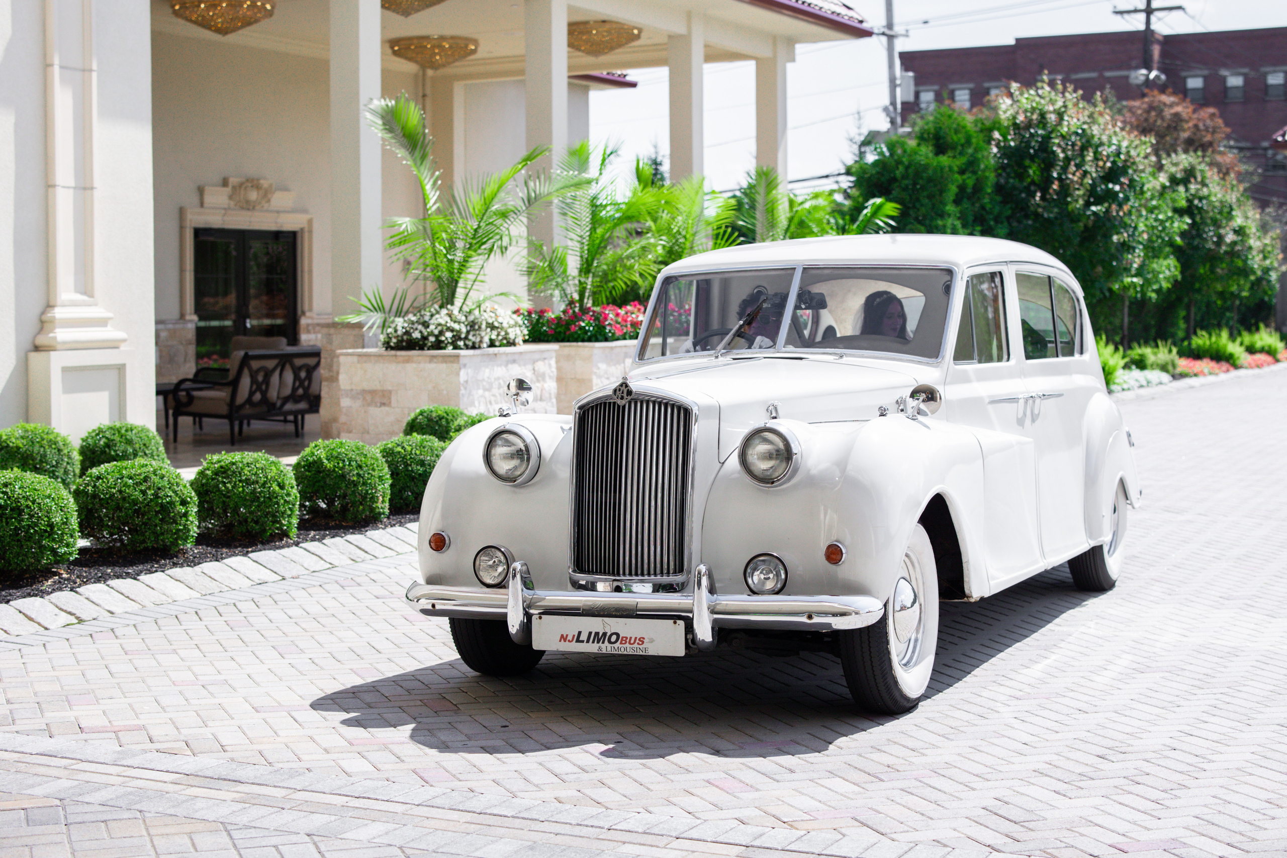 Wedding and Event photography, Kisses + Veil