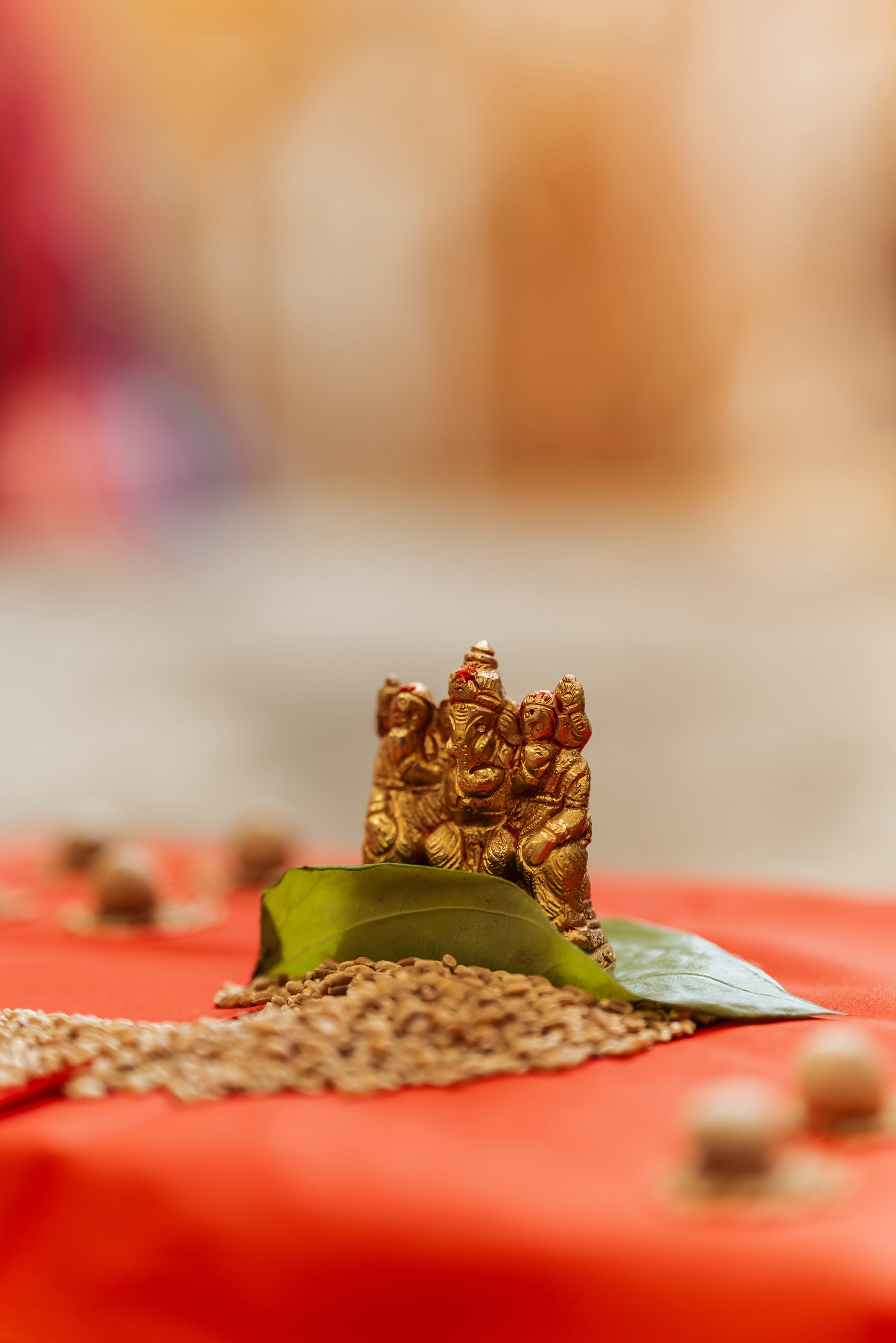 Darshil & Shailja. Wedding Photographer & Cinematographer studios