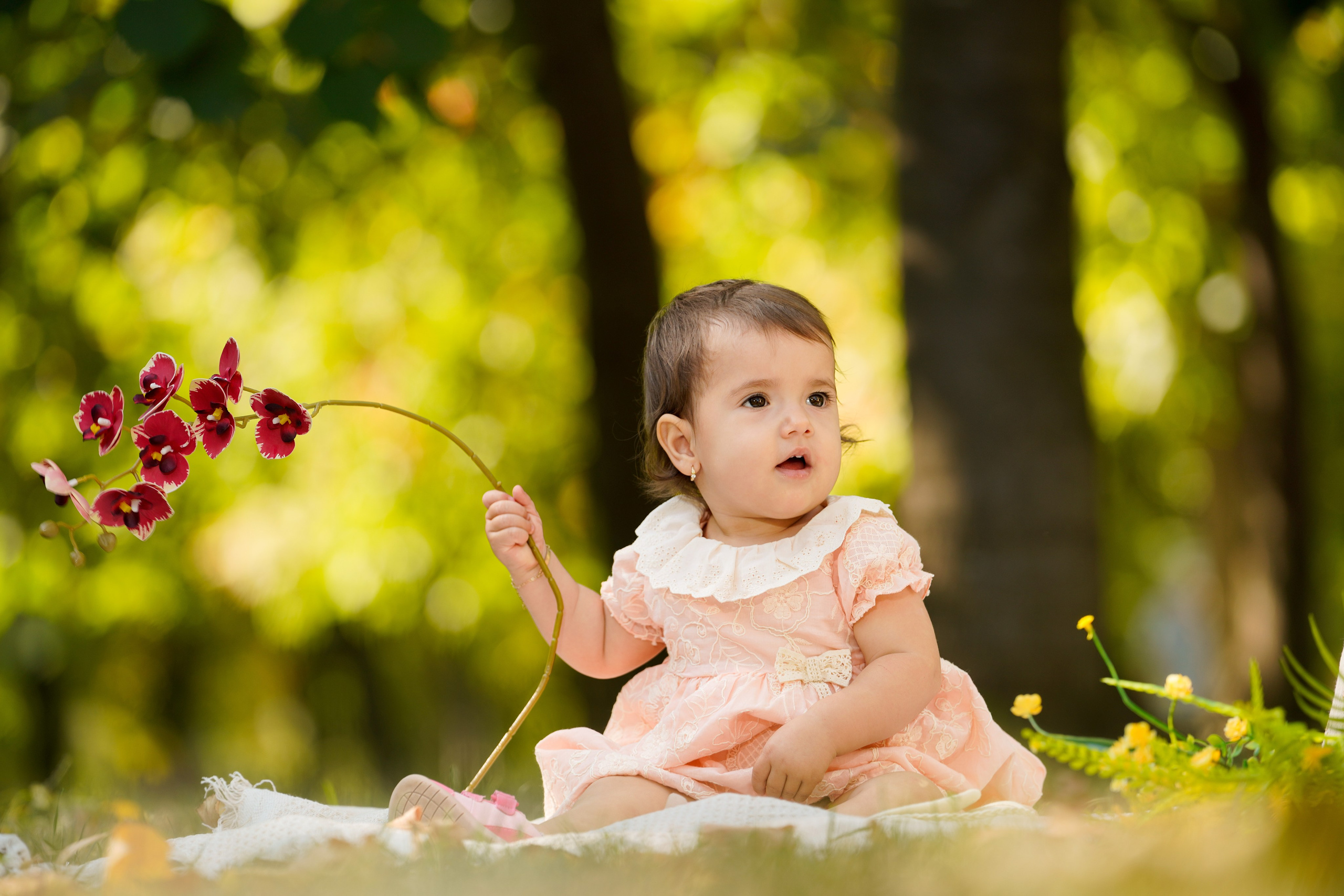 Sedinta foto outdoor. Cuibul foto