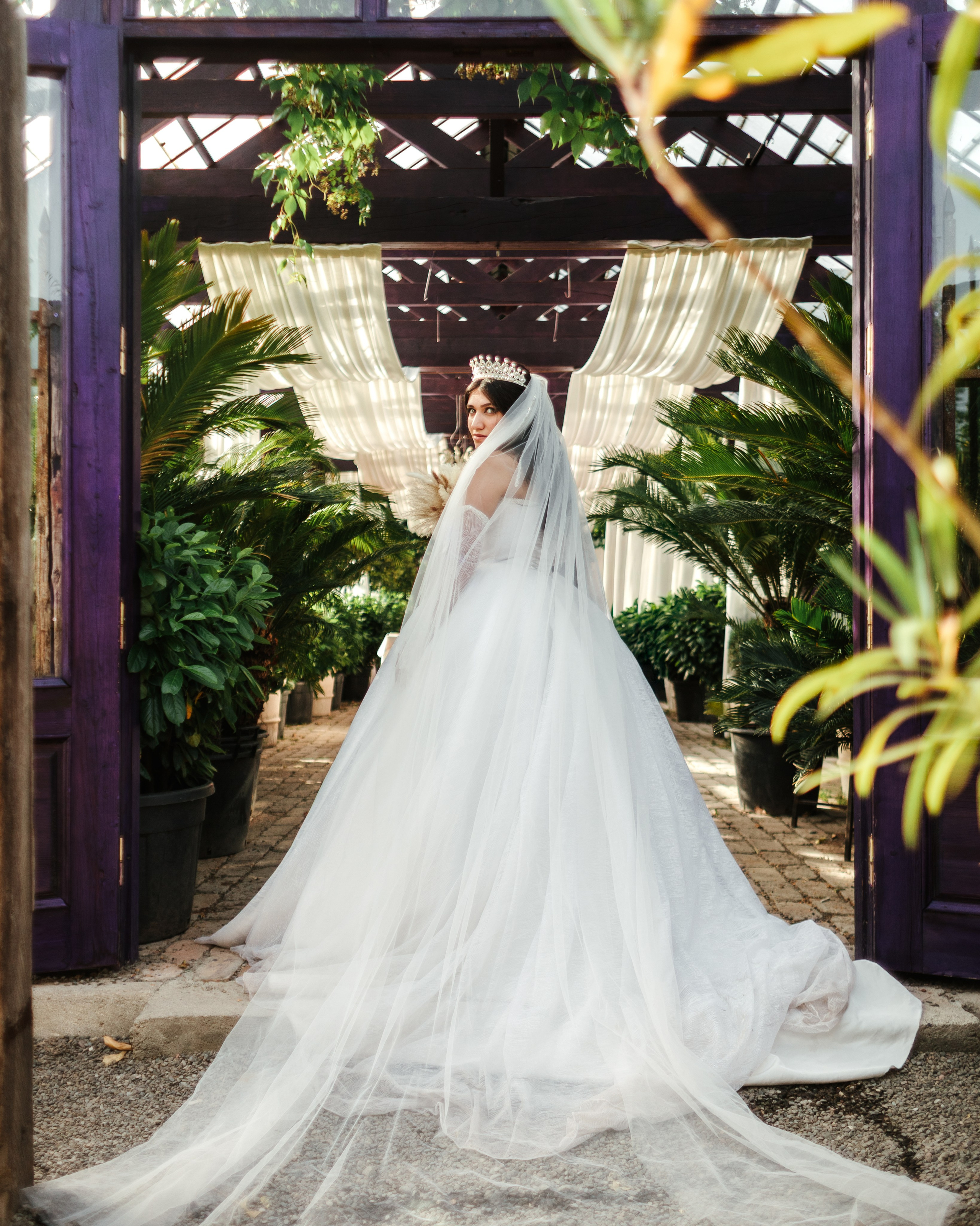 Nino & Giorgi. Bspander