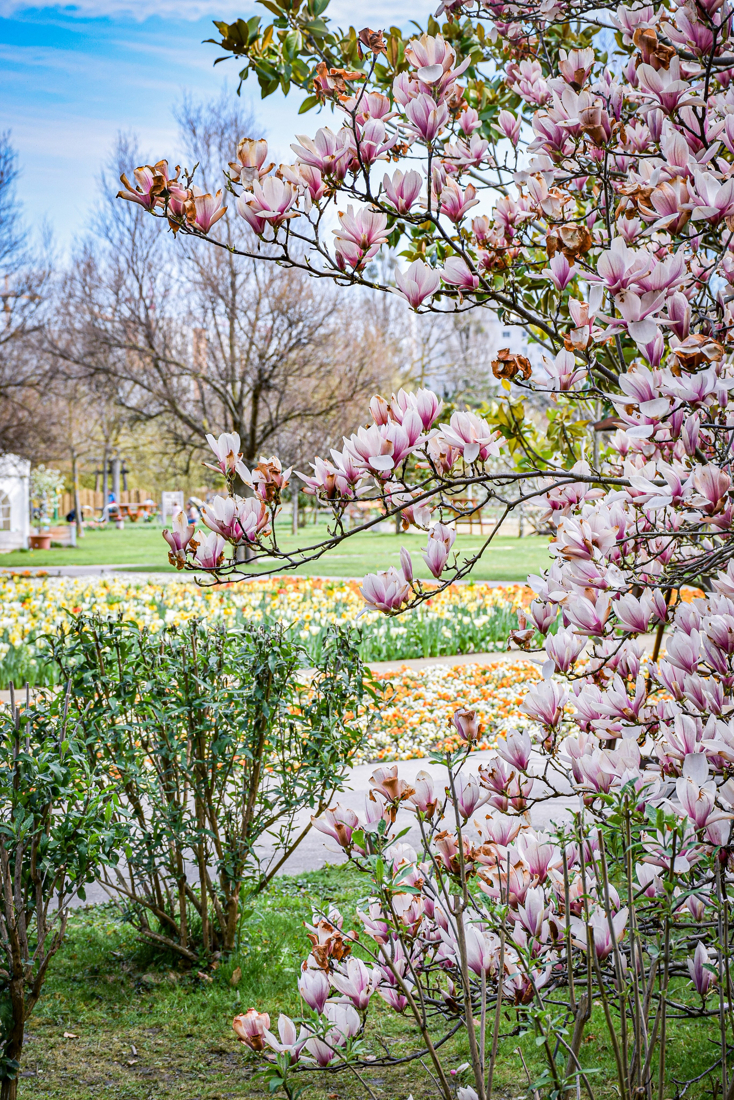 Hirschstetten Botanical Gardens