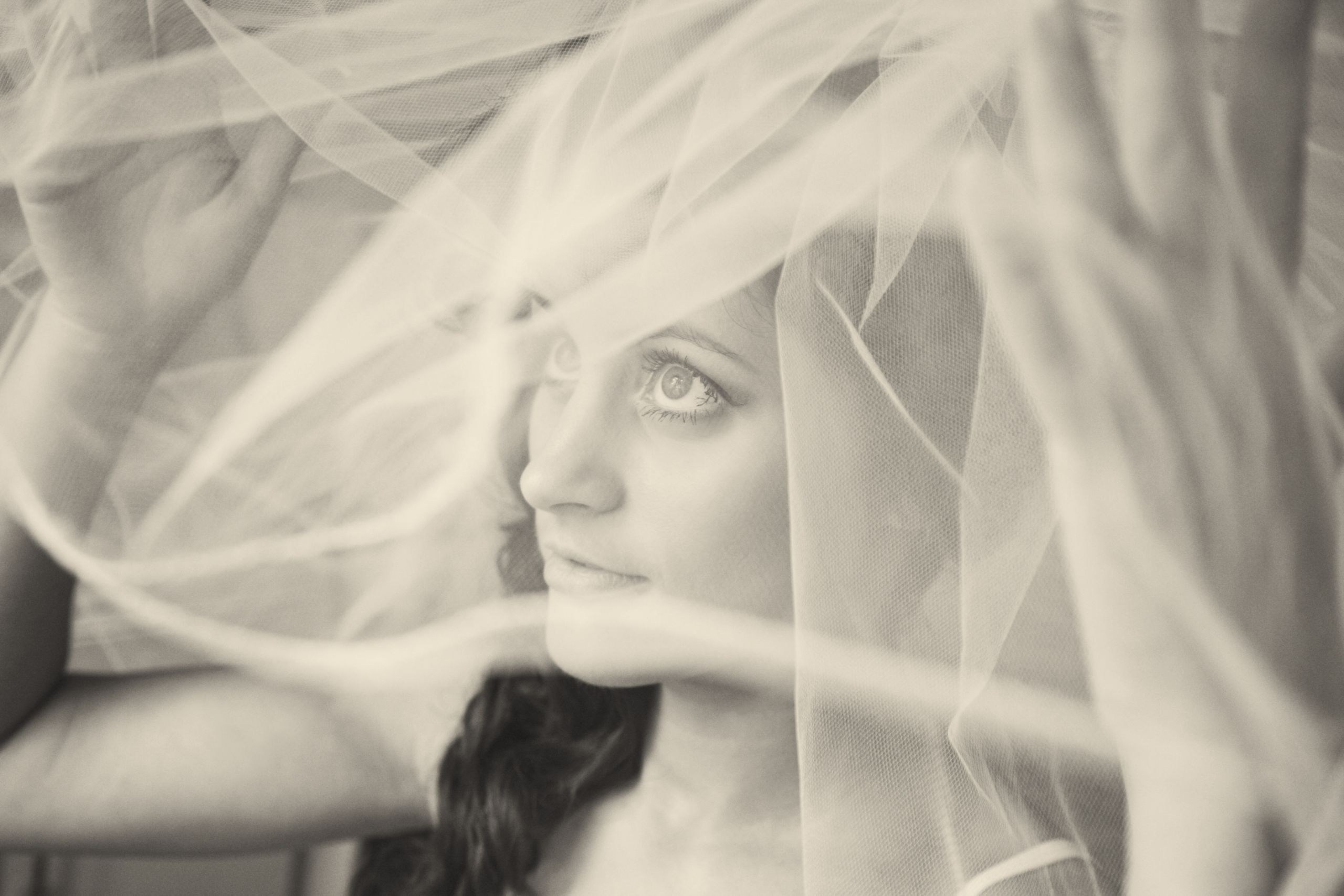 True Story Photography