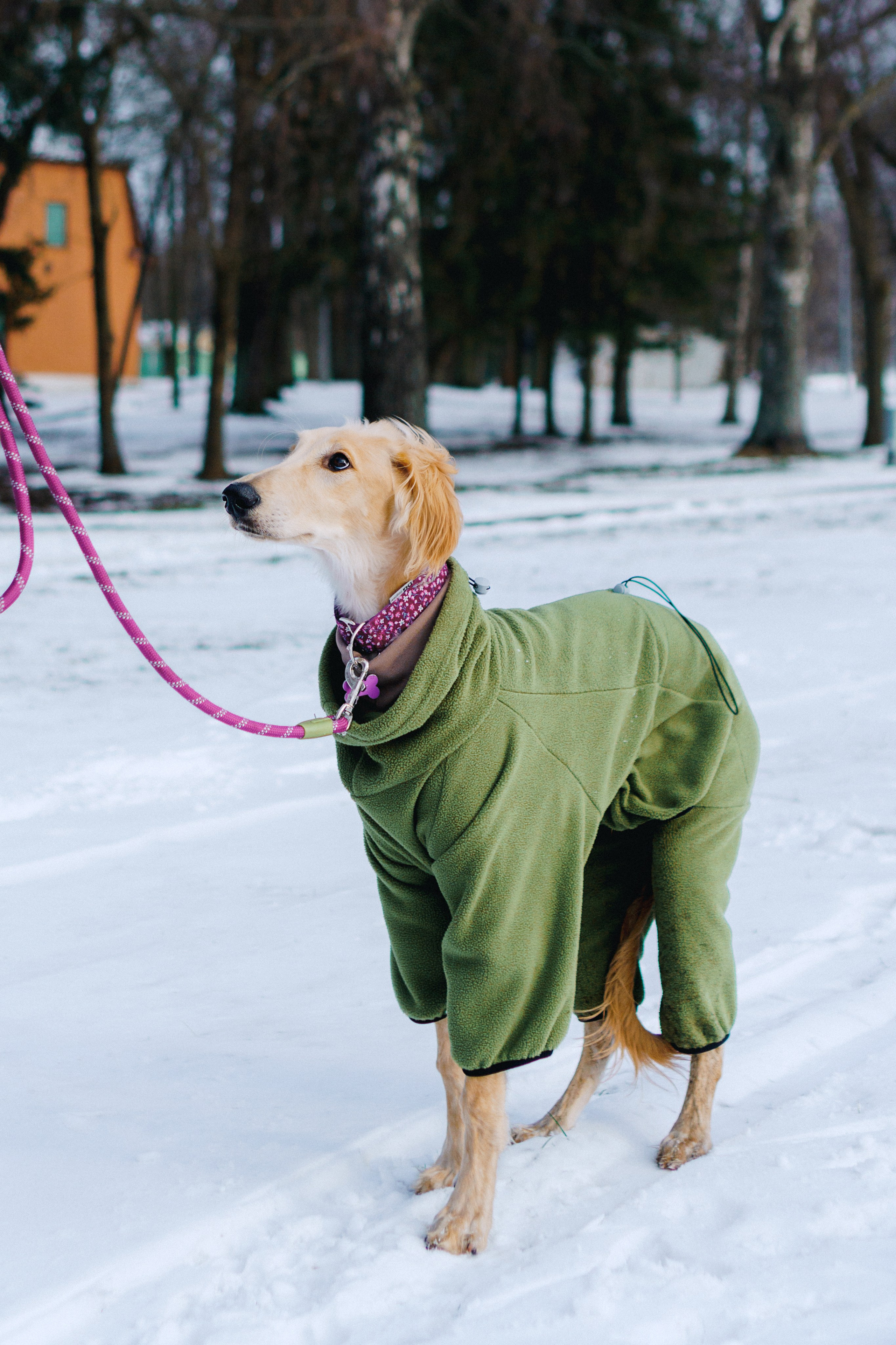 Nicole & Sky. Kat Laisaar — Pet photographer in Tallinn