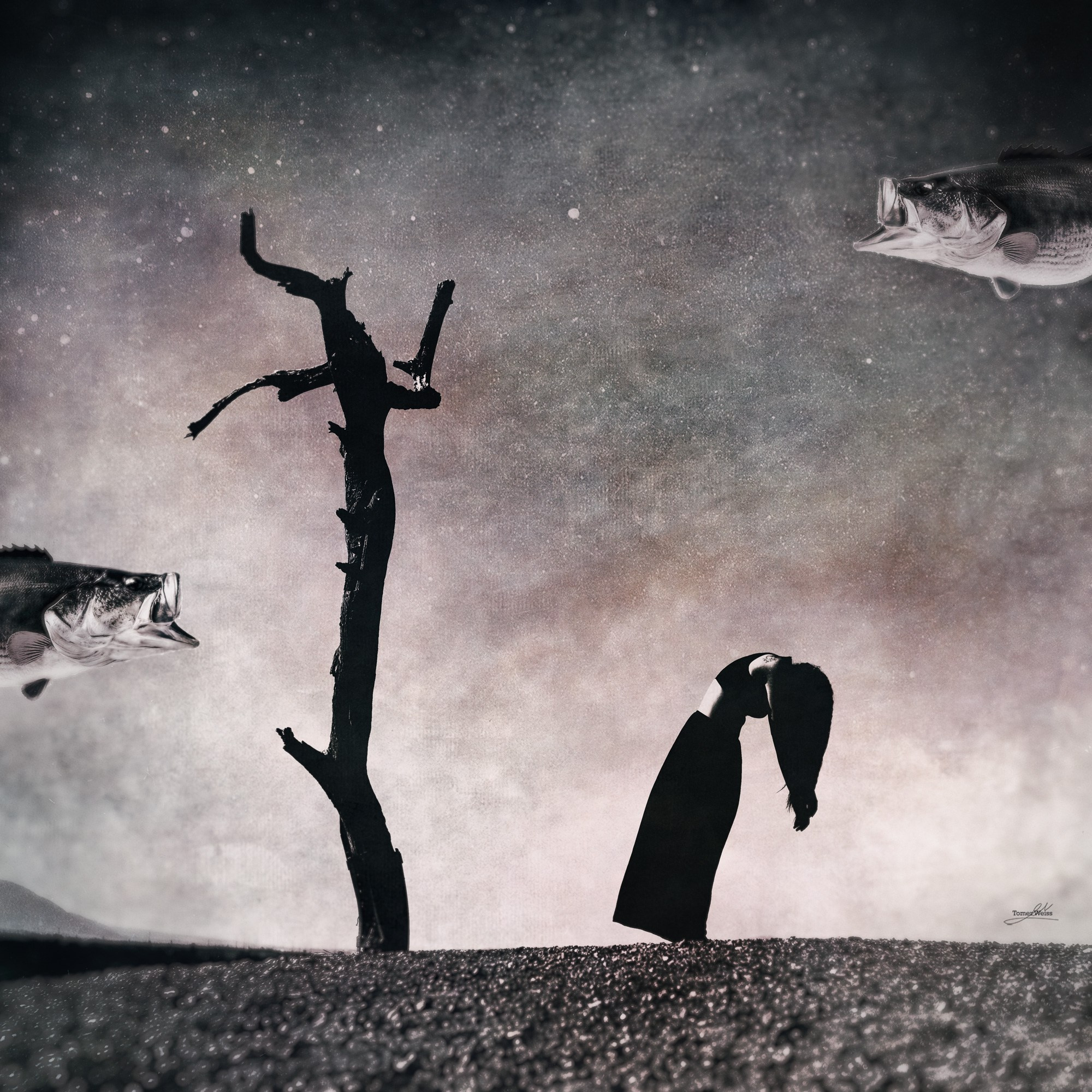 Fine Art Image gallery of Tomer Weiss Fine art