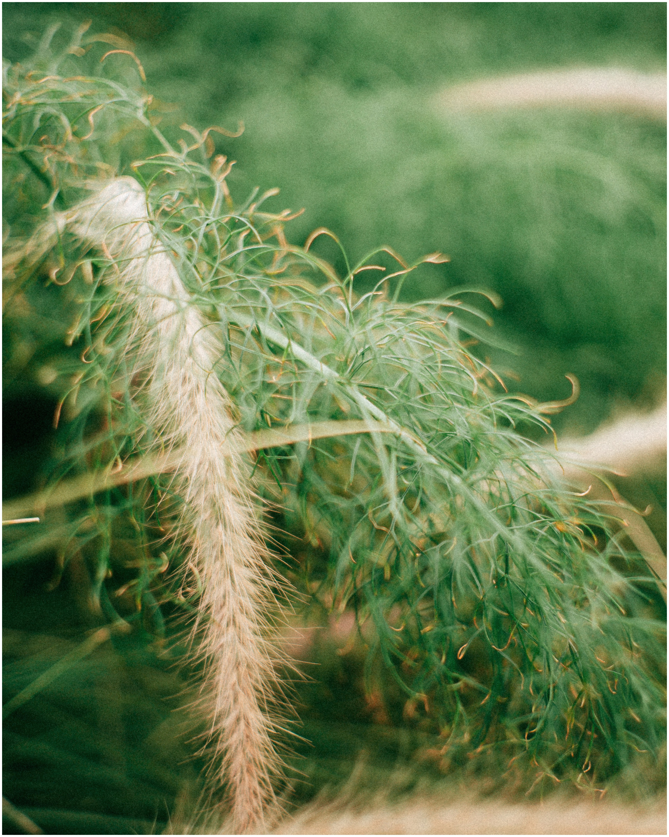 PALERMO. Photographer Inna Mendelson