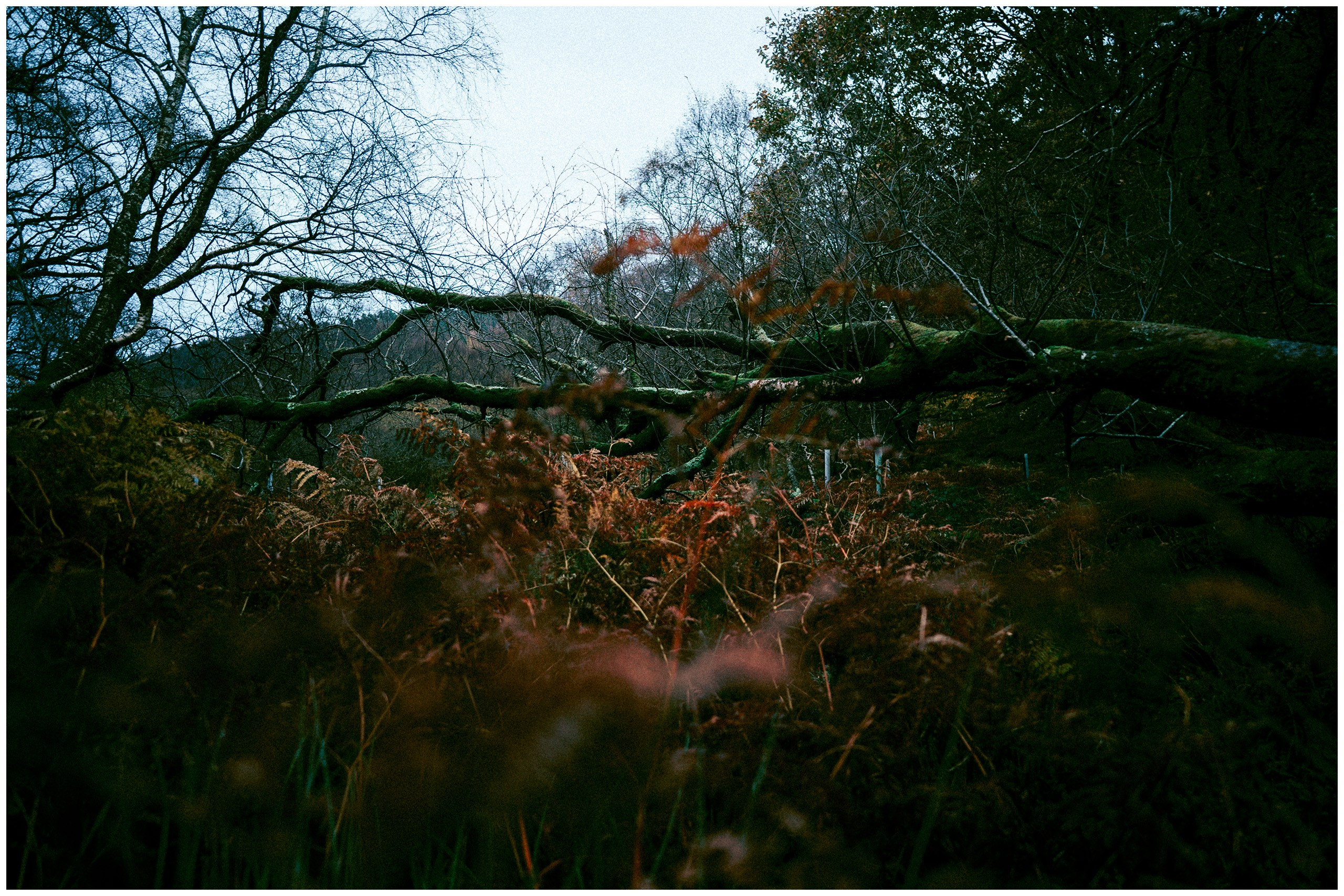 IRELAND. Inna Mendelson — Photographer