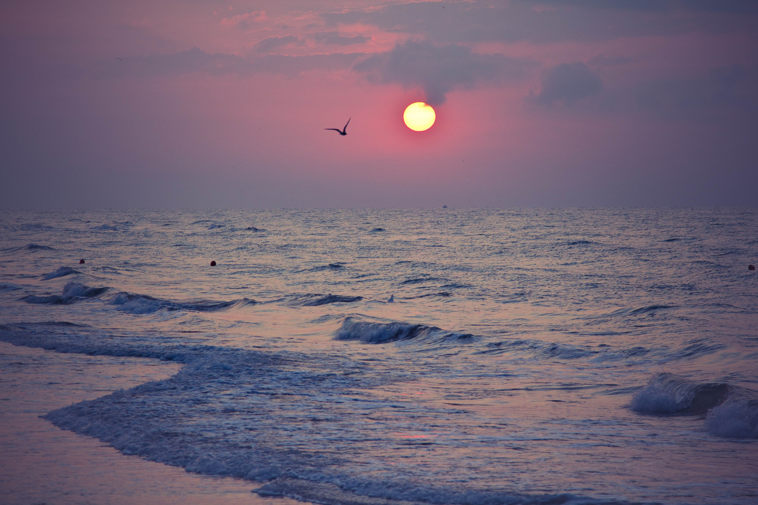 ИТАЛИЯ. Стрит-фотография, полная абсурда, идиотизма и красоты