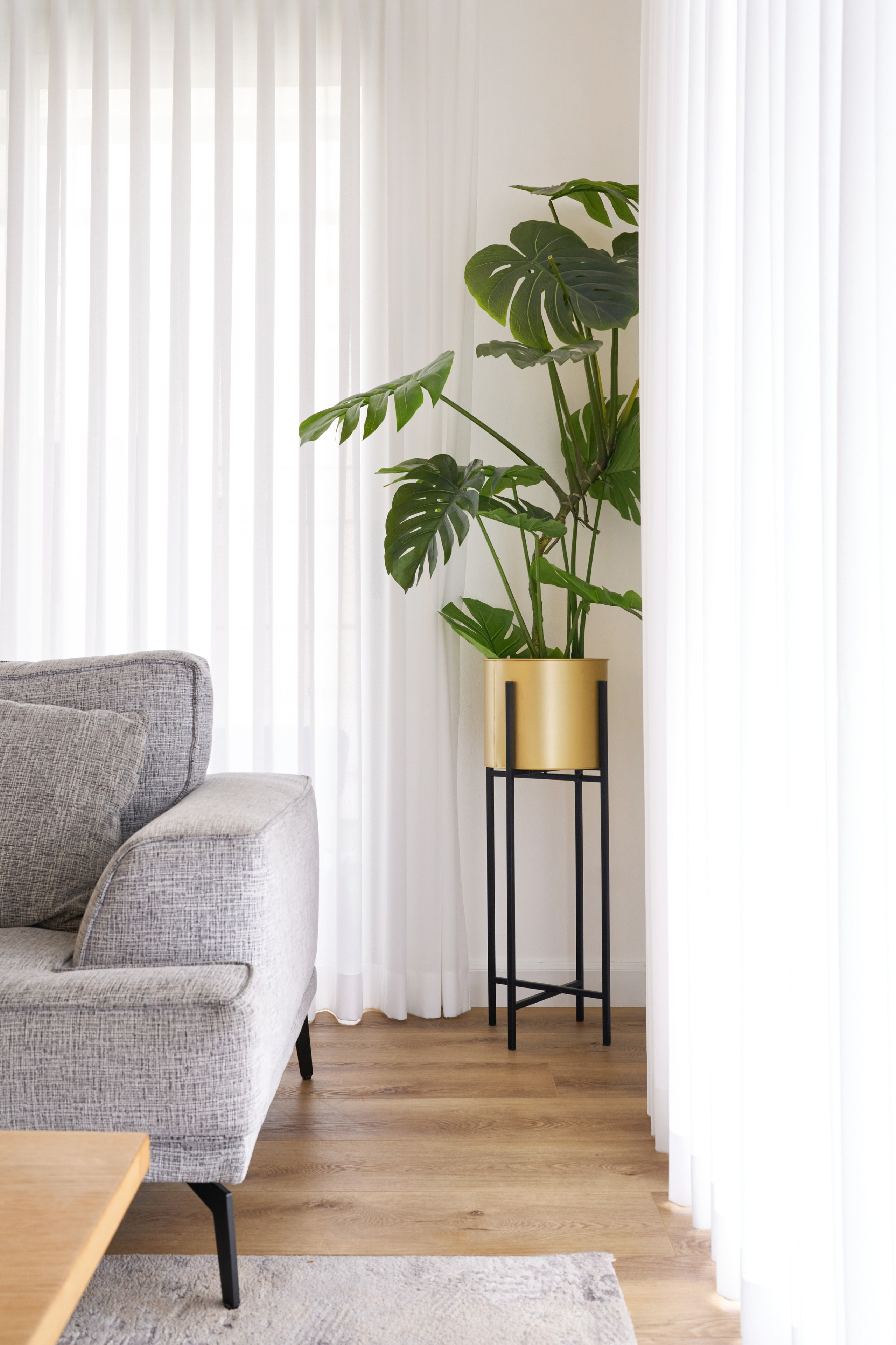 Interior. צלם אלכס ברט בישראל