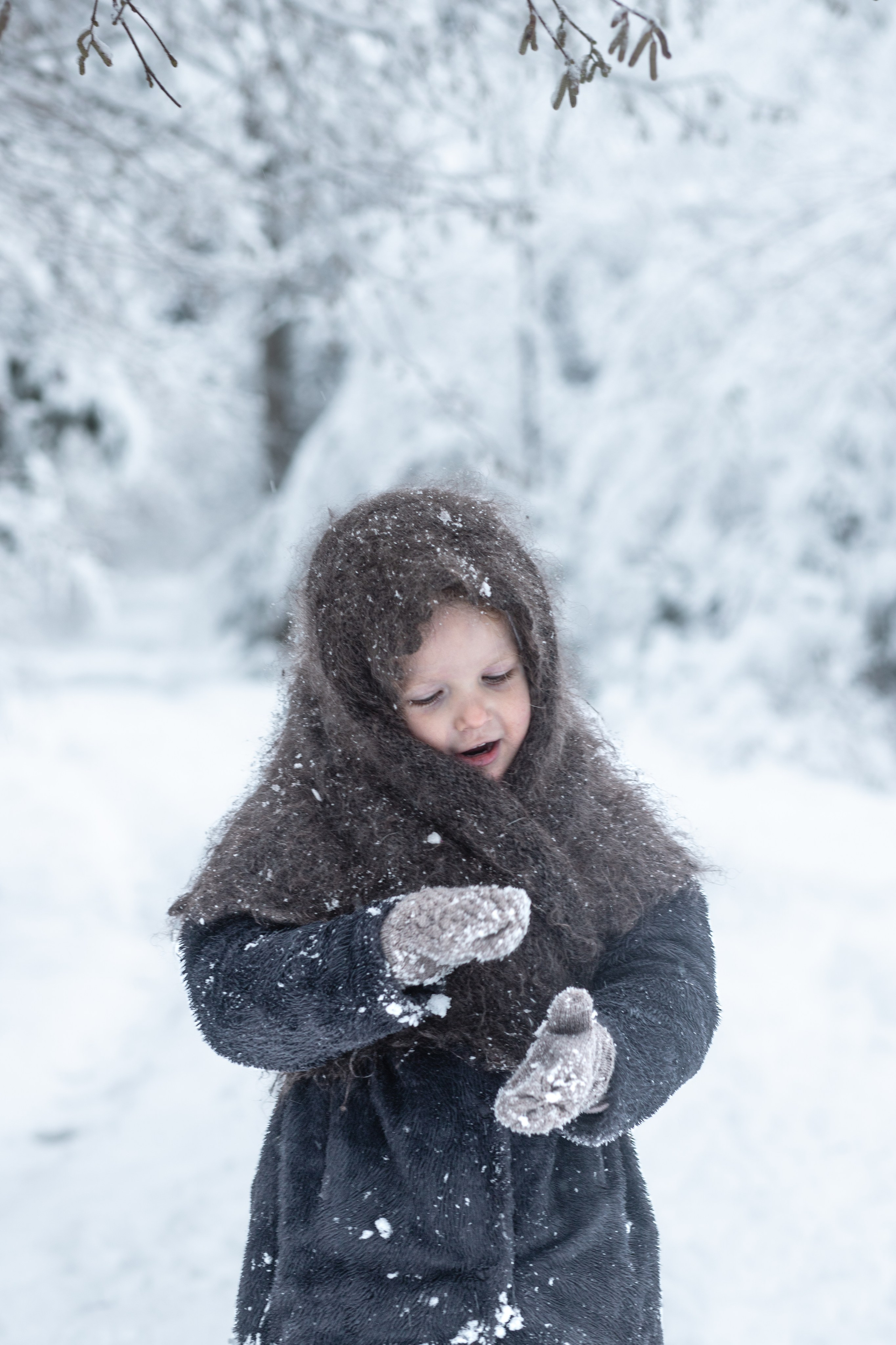 Ein Weihnachtsmärchen. Olena Fritz Fotografie