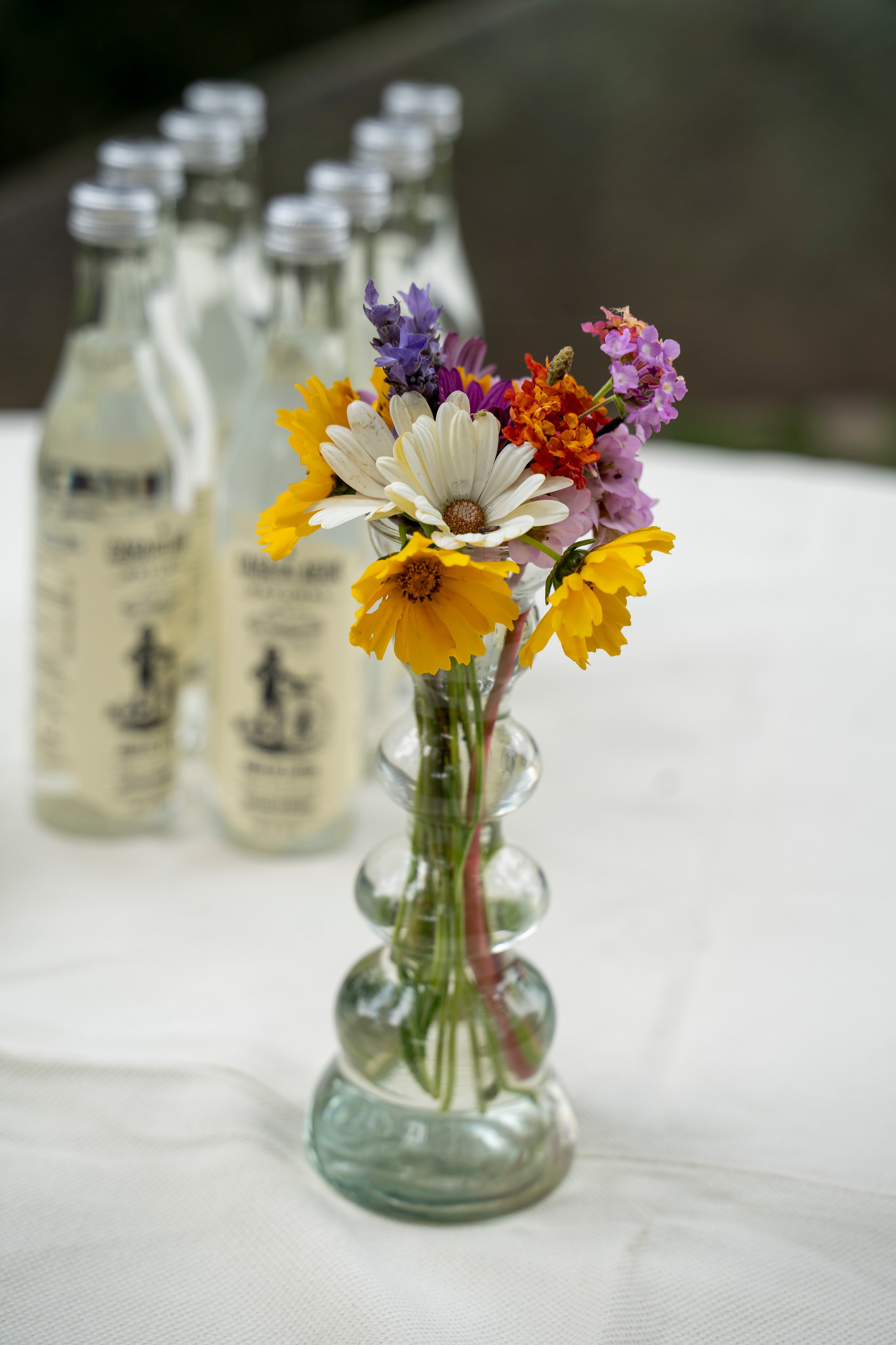 Proposal. Catrina Frolova photography