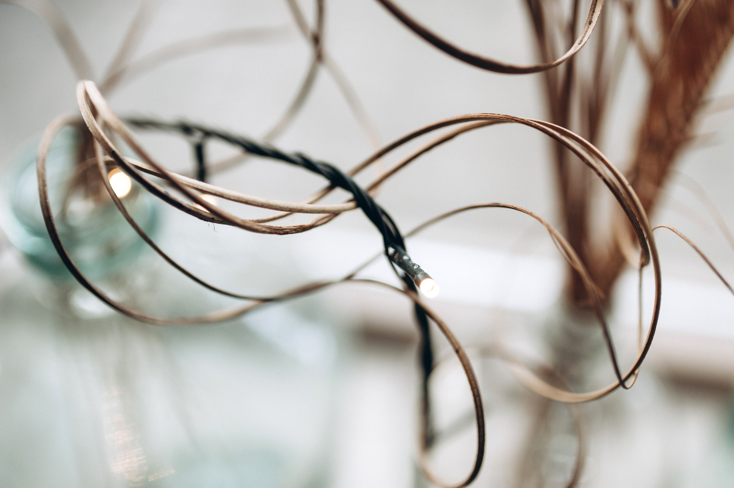 Anna & Serhii. Familien- und Hochzeitsfotografin. Ich arbeite in Koblenz und Rheinlan