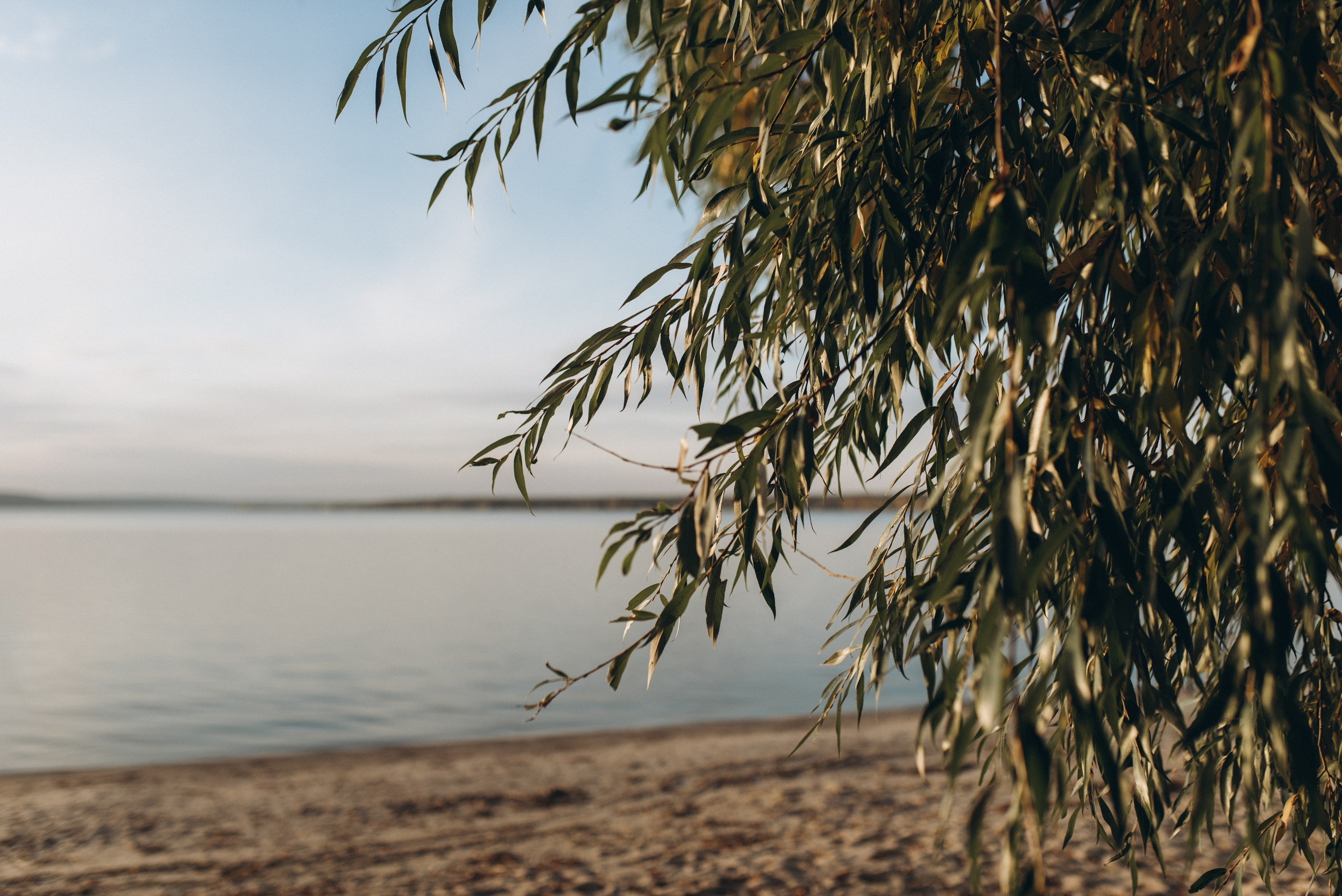 Tatjana & Mila. Familien- und Hochzeitsfotografin. Ich arbeite in Koblenz und Rheinlan