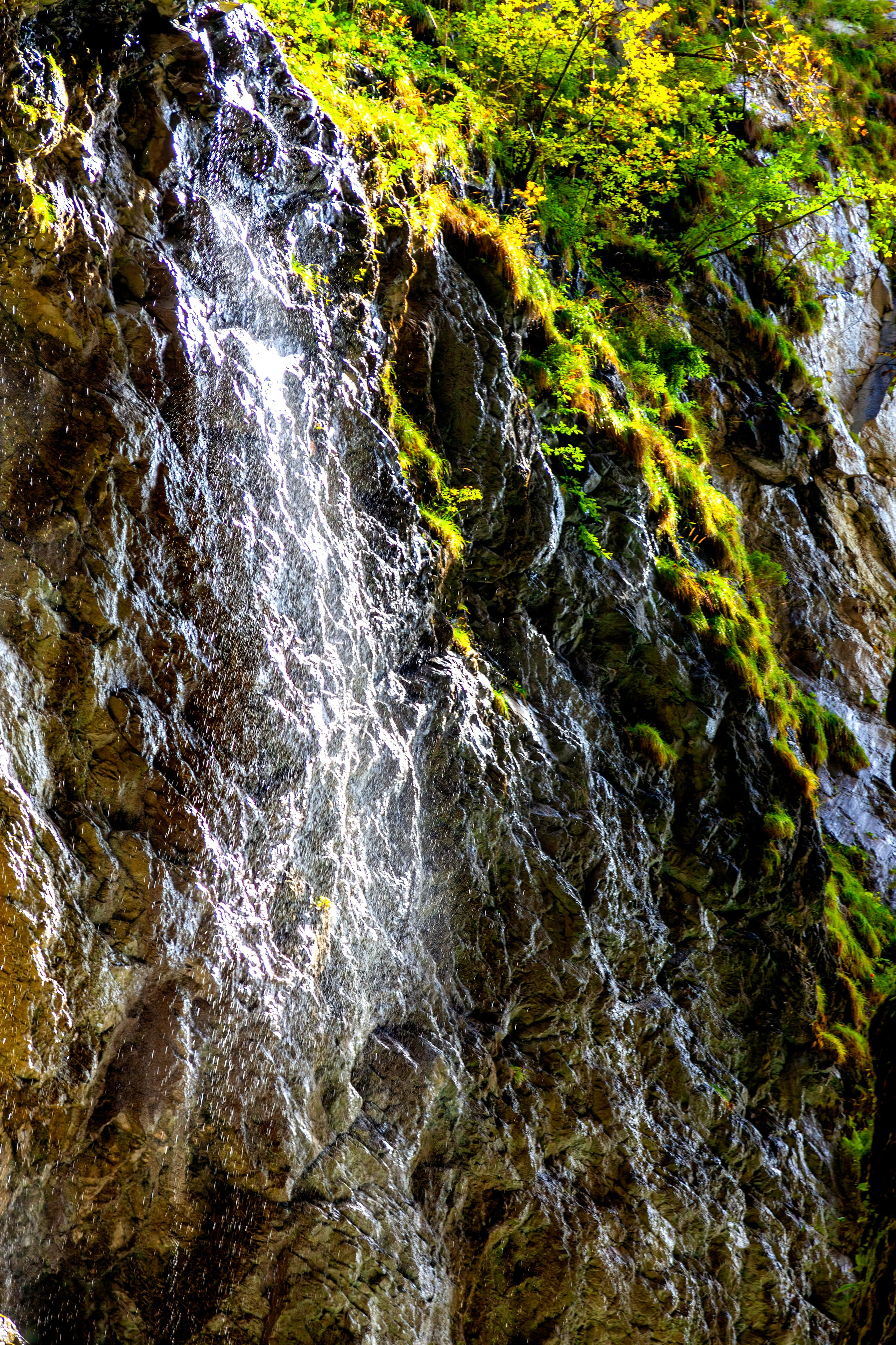 188.Partnachklamm Gorge.26.9.2024. Путешествия в формате 360......
