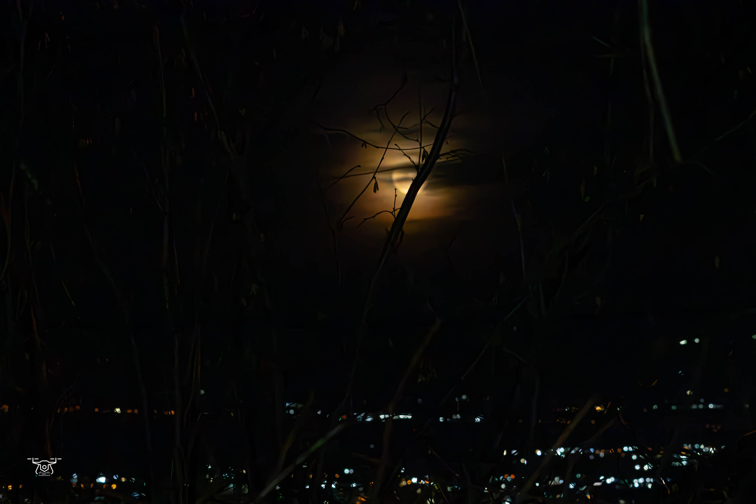 ქალაქი და ადამიანი. FramefreeMan