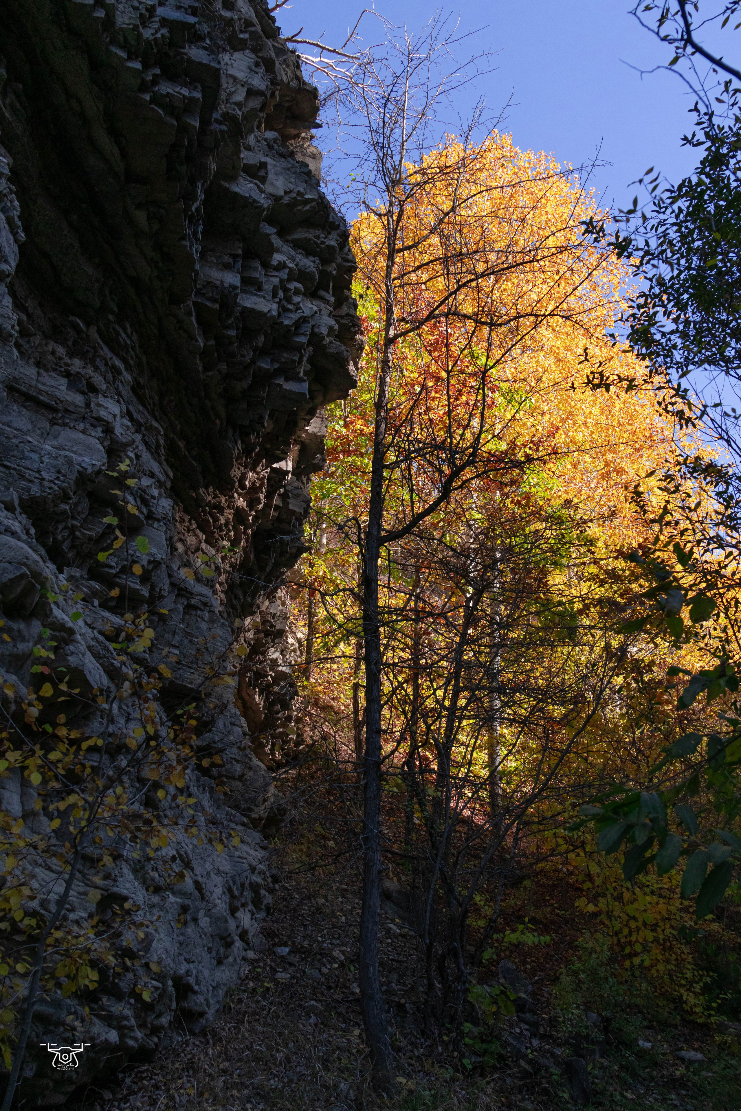 შემოდგომის ველოტური ატენის ხეობაში კავკასიის ველო ქსელთან ერთად. FramefreeMan