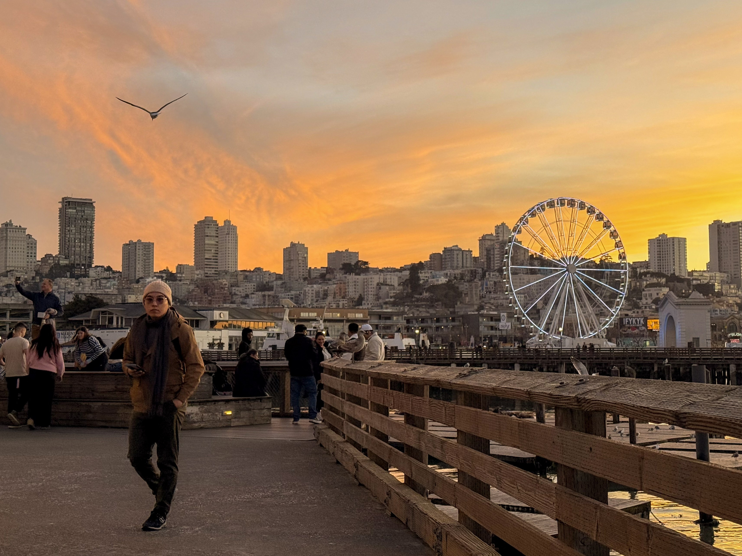 San Francisco. Aleks.photo | Book a photoshoot