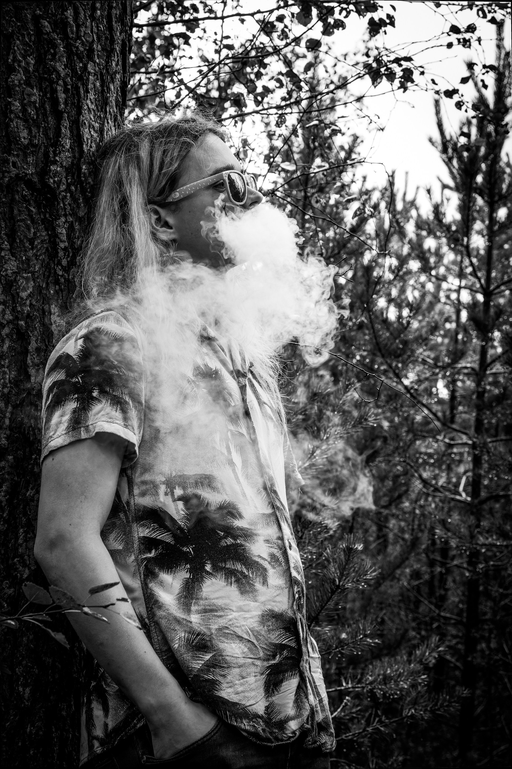 Mets, vihm ja jahedus (Dimitry). Nebula 25 — Fotod teie hingele