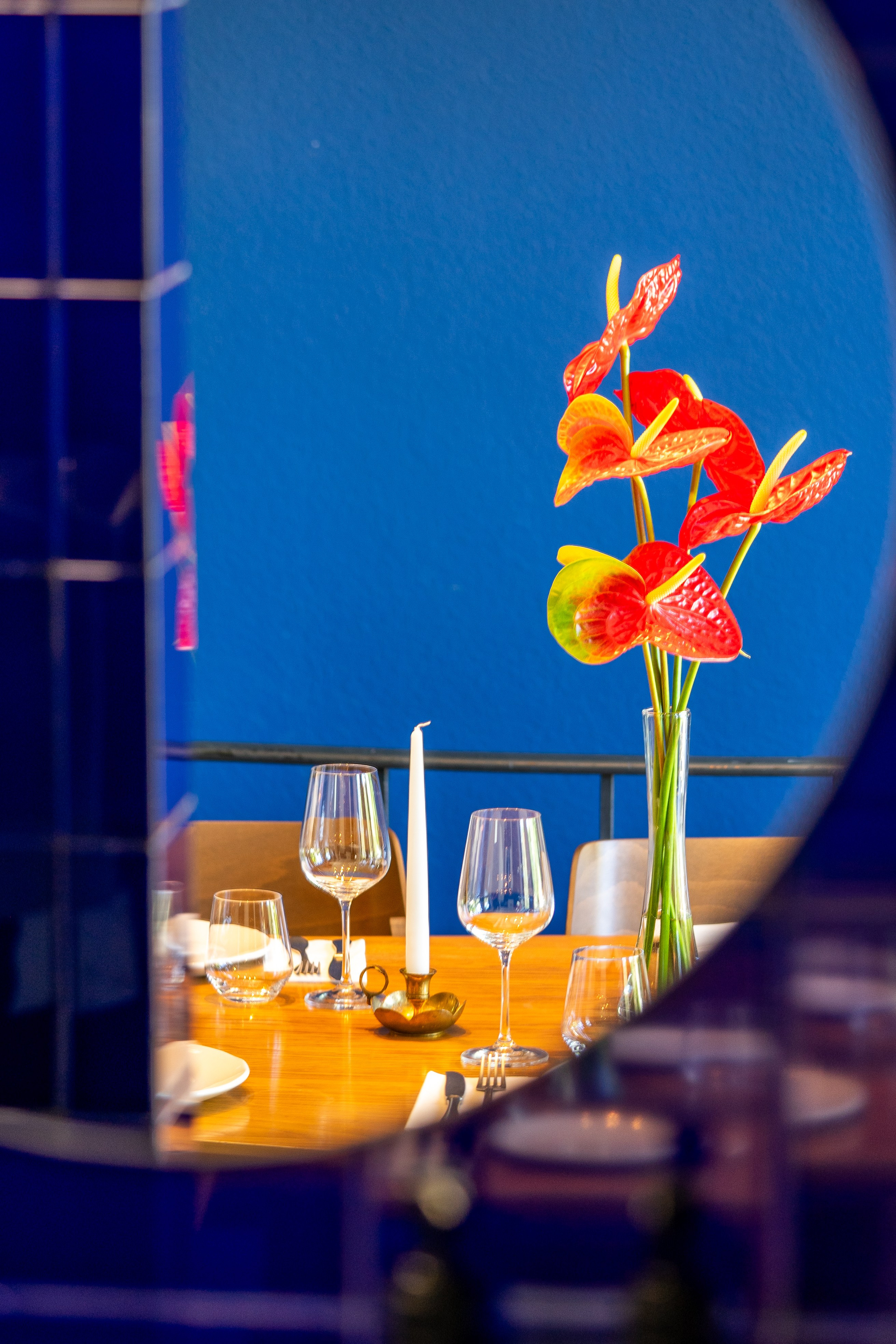 Borboleta. Мария Шер. Профессиональный фотограф в городе Порту, Португалия