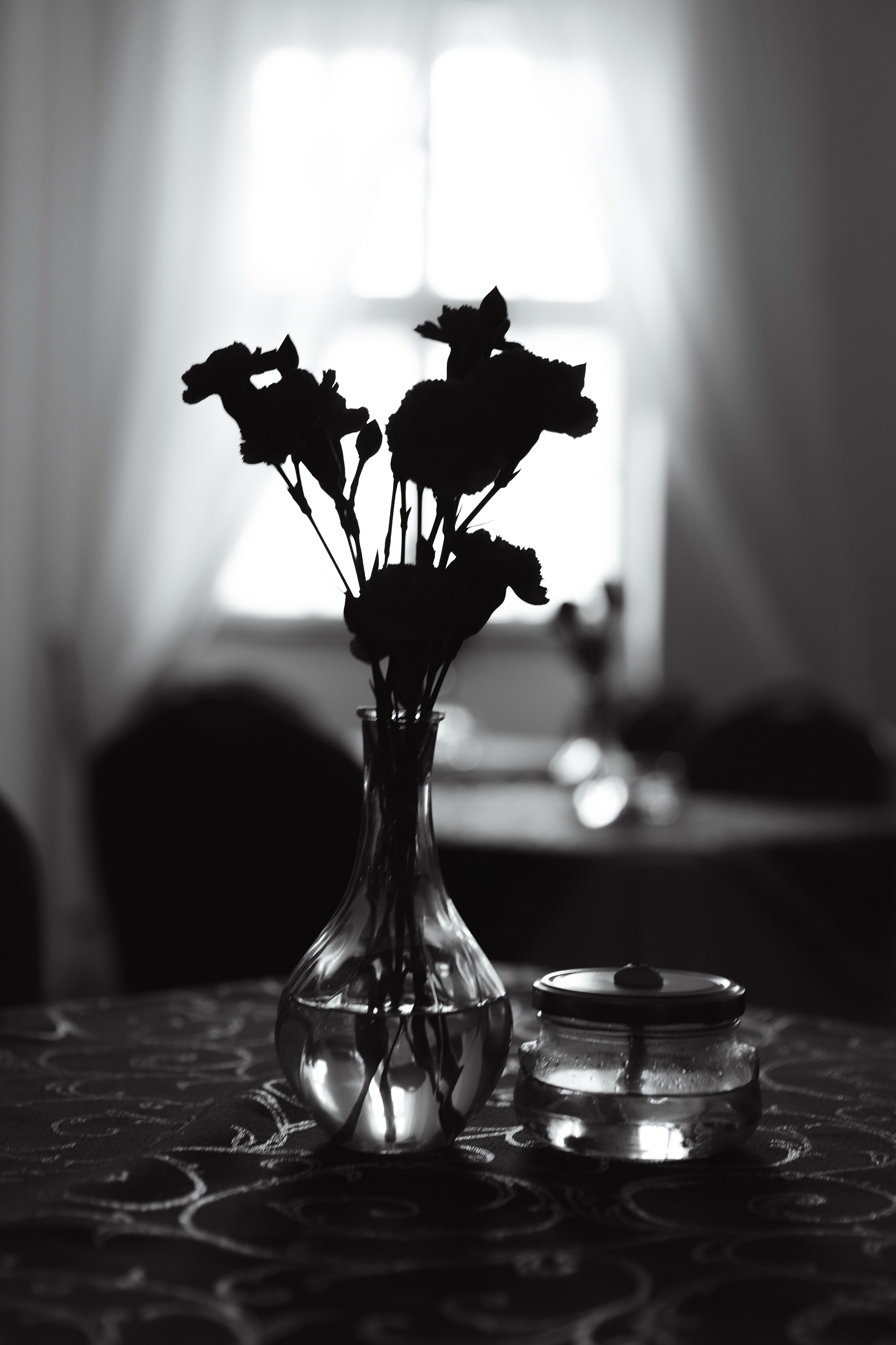 Oleśnica castle. Kaja | fotograf psów we Wrocławiu