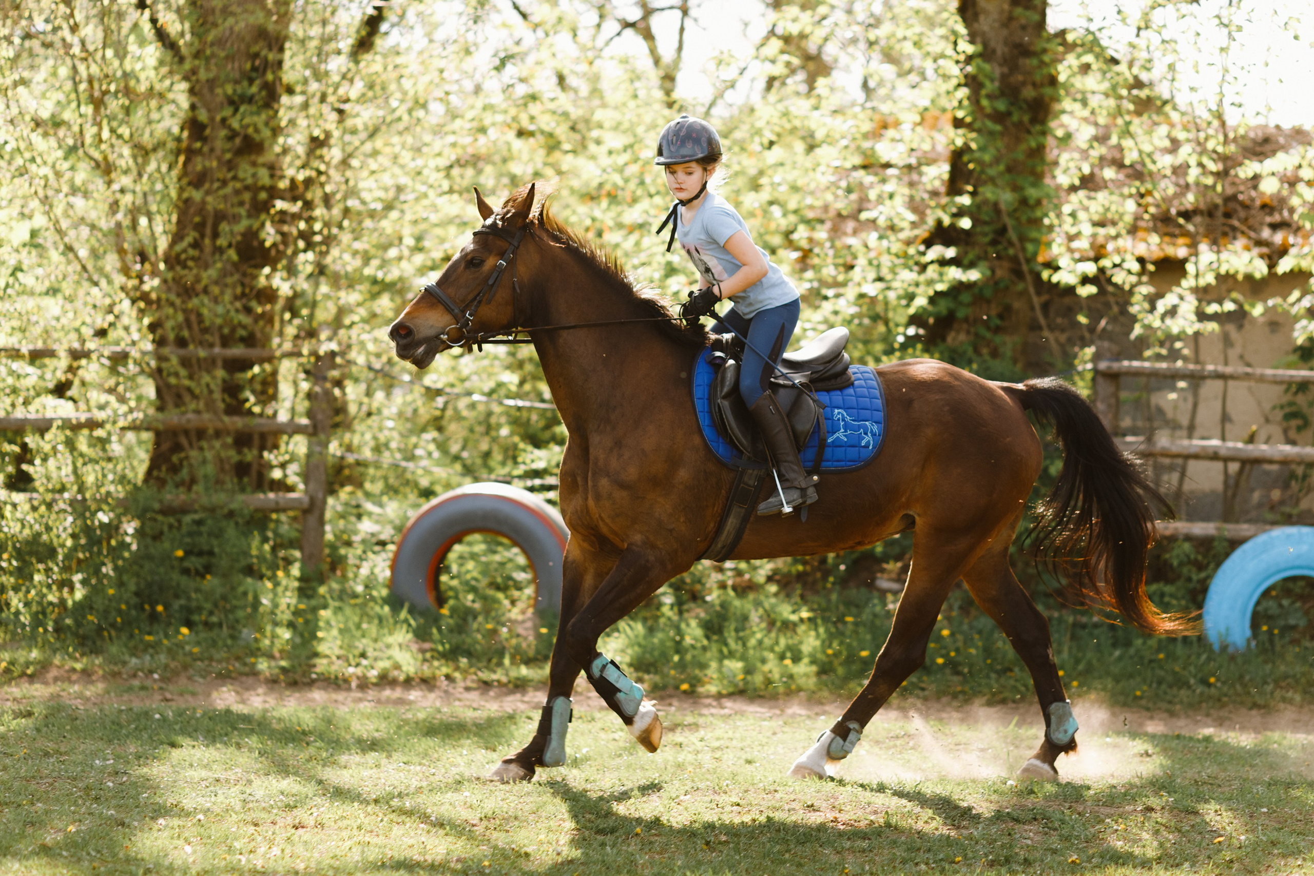 Girls & horses, summer. Kaja | fotograf psów we Wrocławiu