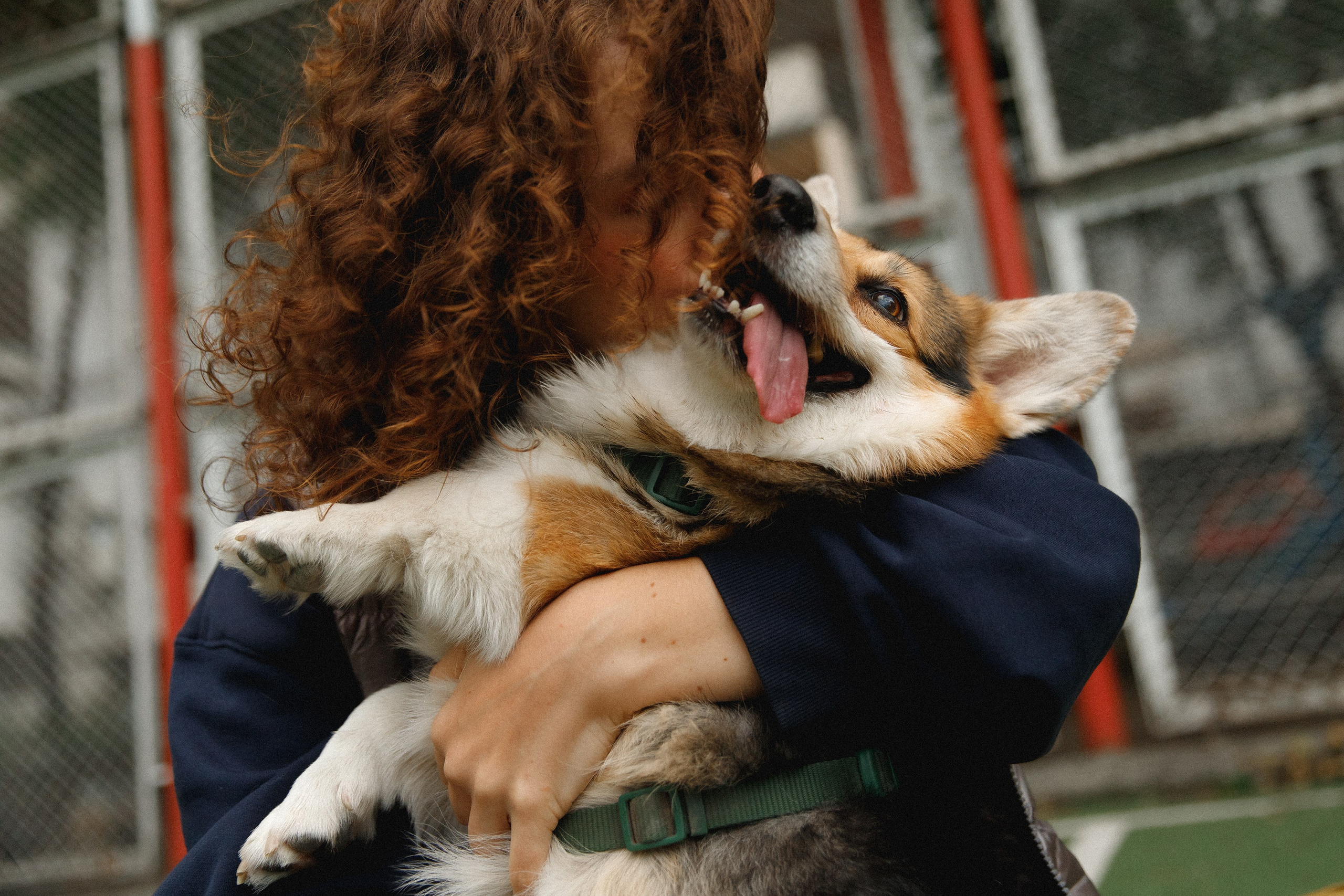 Sasha & Leonid. Kaja | fotograf psów we Wrocławiu