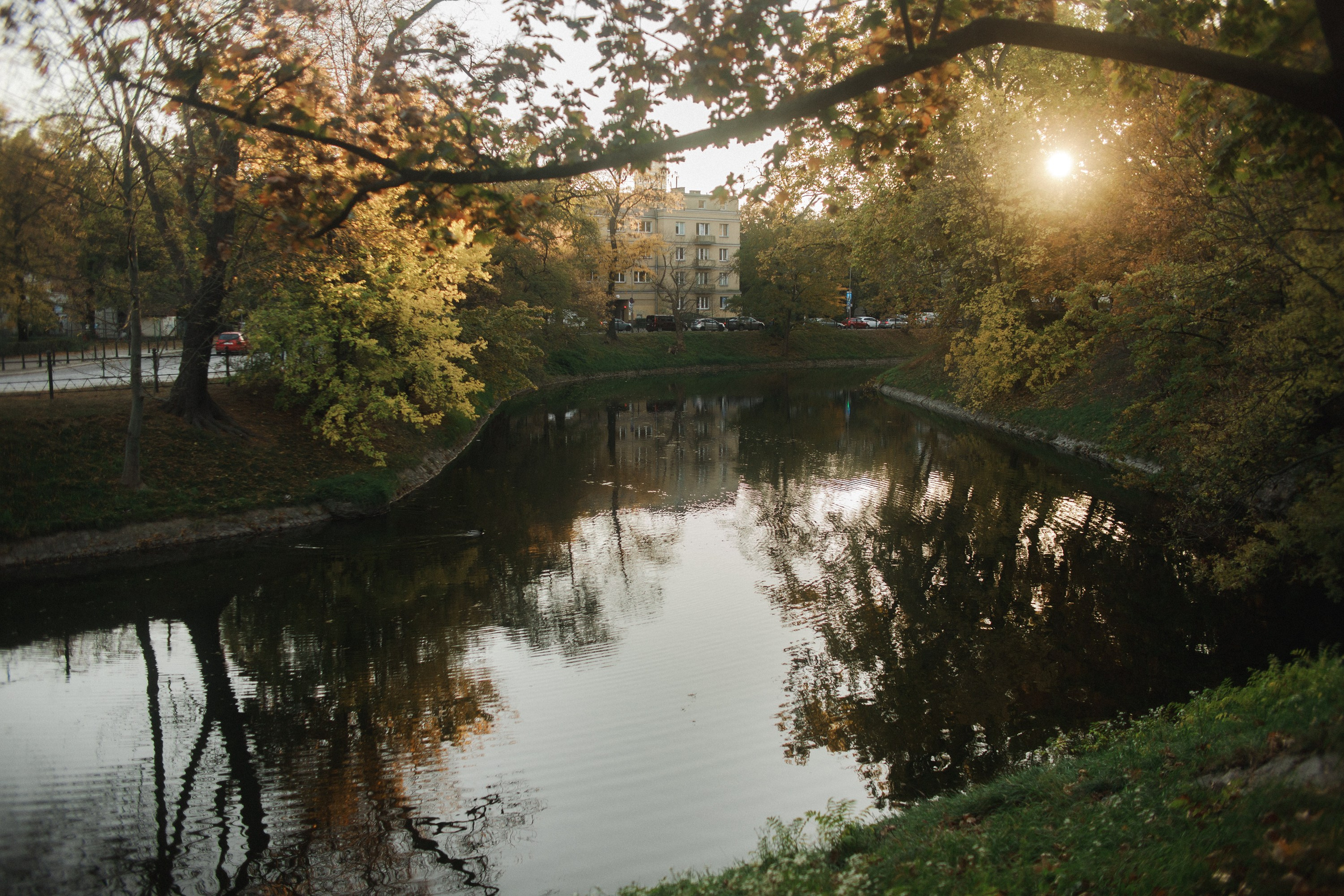 Nastya. Kaja | fotograf psów we Wrocławiu