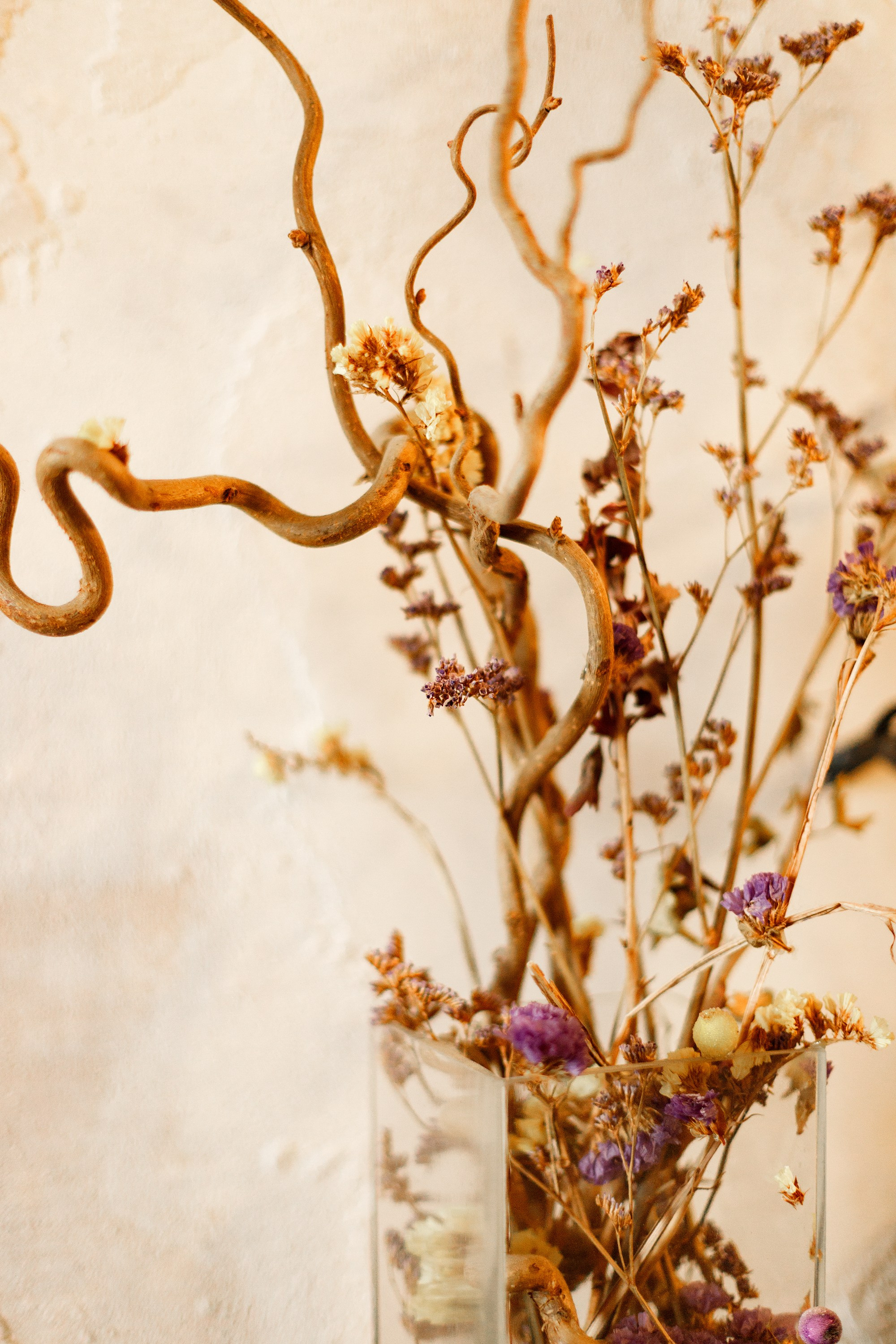 Psychologist blog content. Kaja | fotograf we Wrocławiu | ludzie i psy