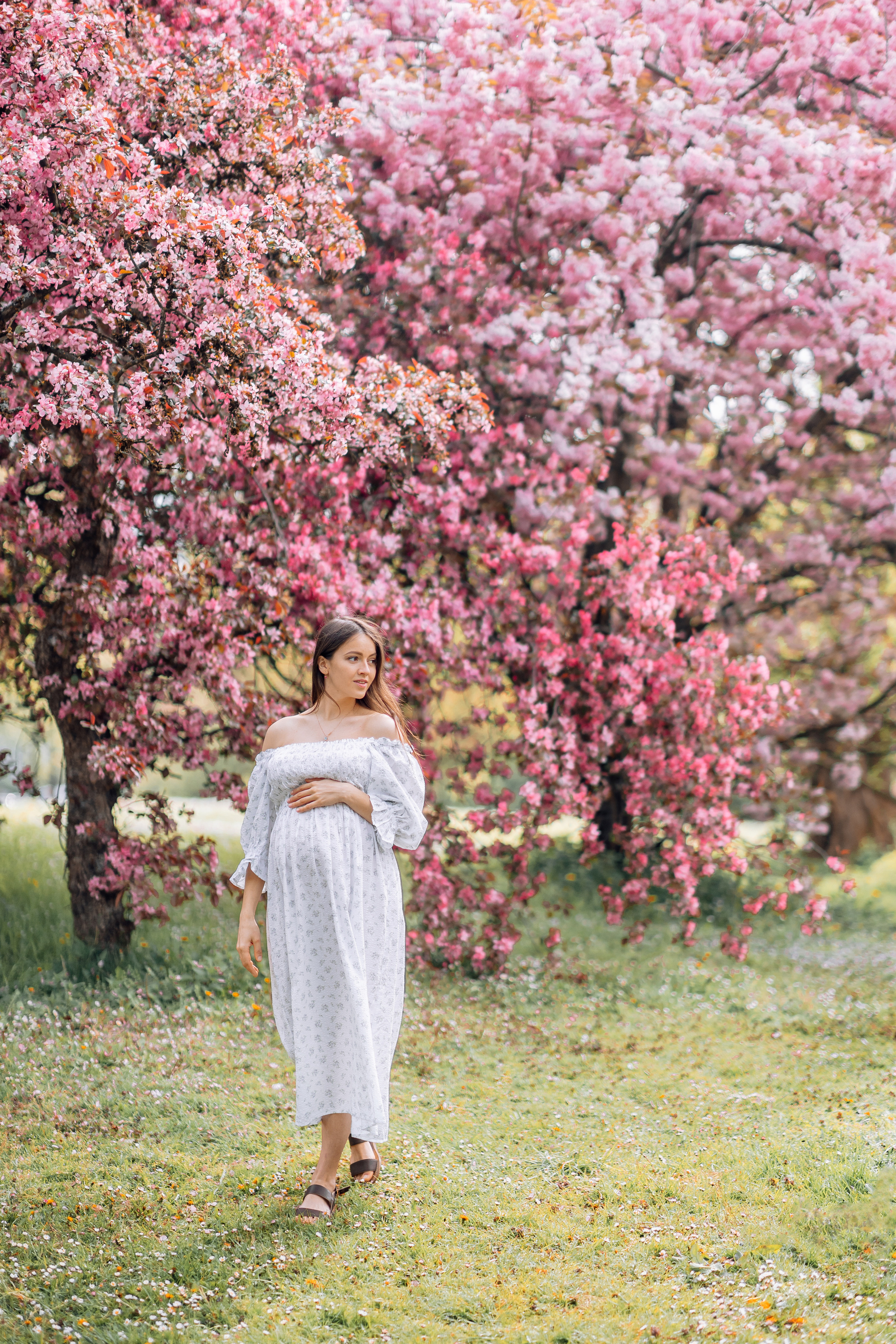 Alexandra. Family photograph in Munich Anastasia Vorobtsova