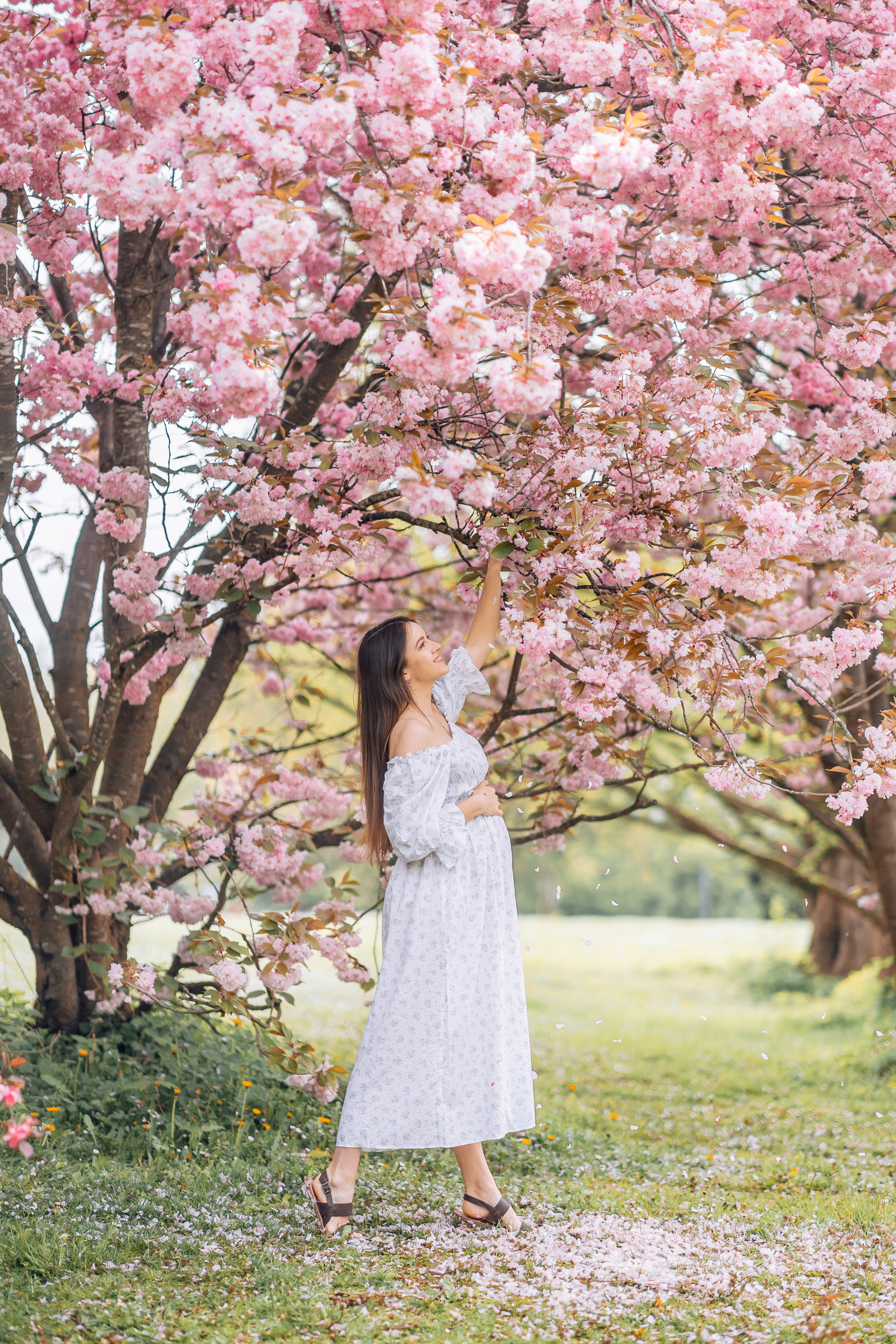 Alexandra. Family photograph in Munich Anastasia Vorobtsova