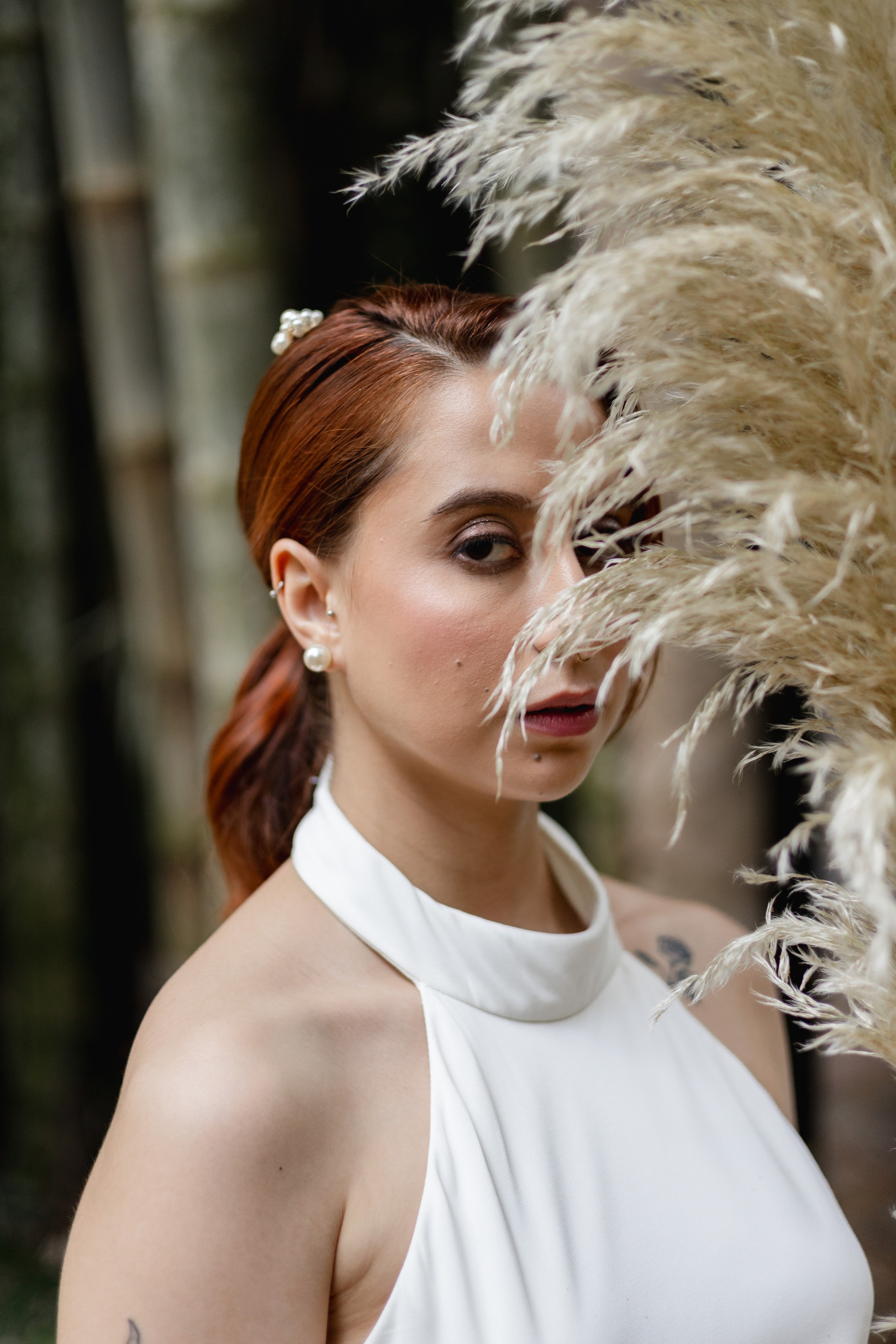 Editorial Dom Brunello