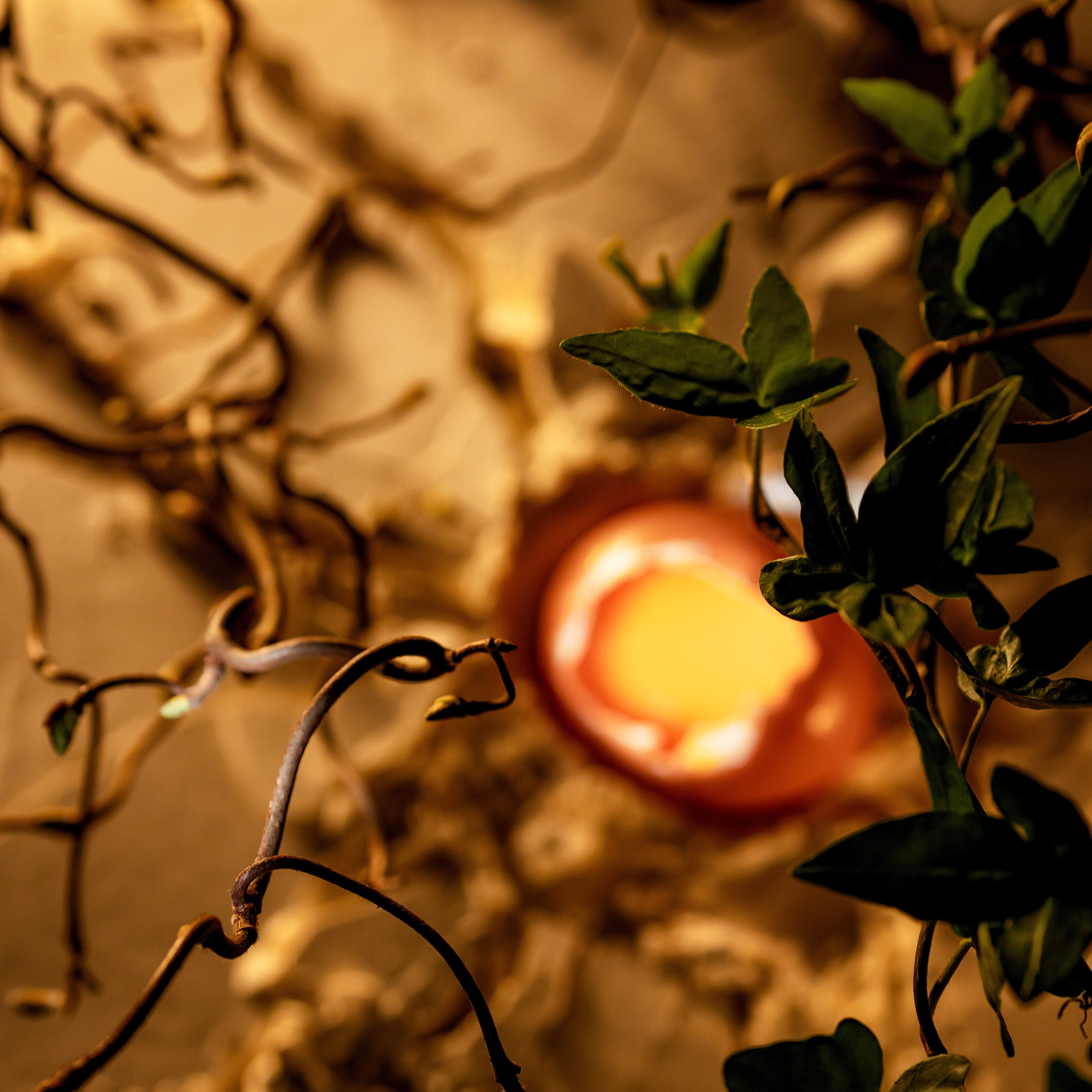 MOREL ОЧКИ. LUKIN IGOR Photography