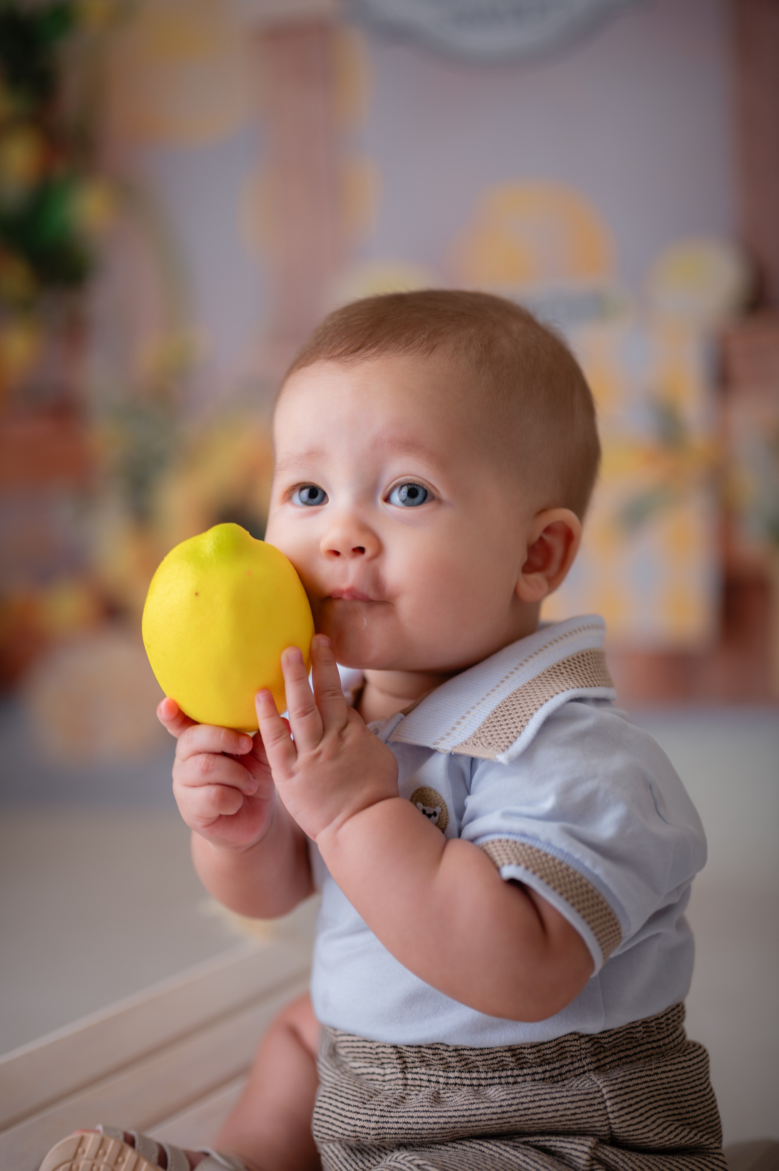 Acompanhamentos. Fotografamos famílias, gestantes, bebês e ensaios individuais