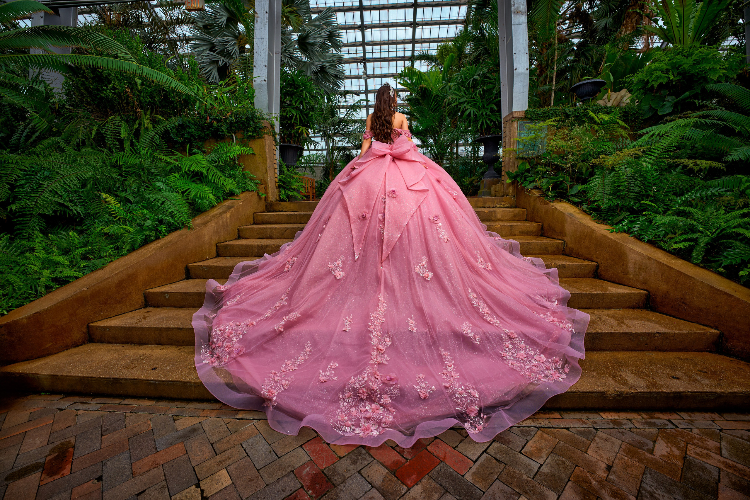 Portraits, Quinceanera & Weddings Photographer